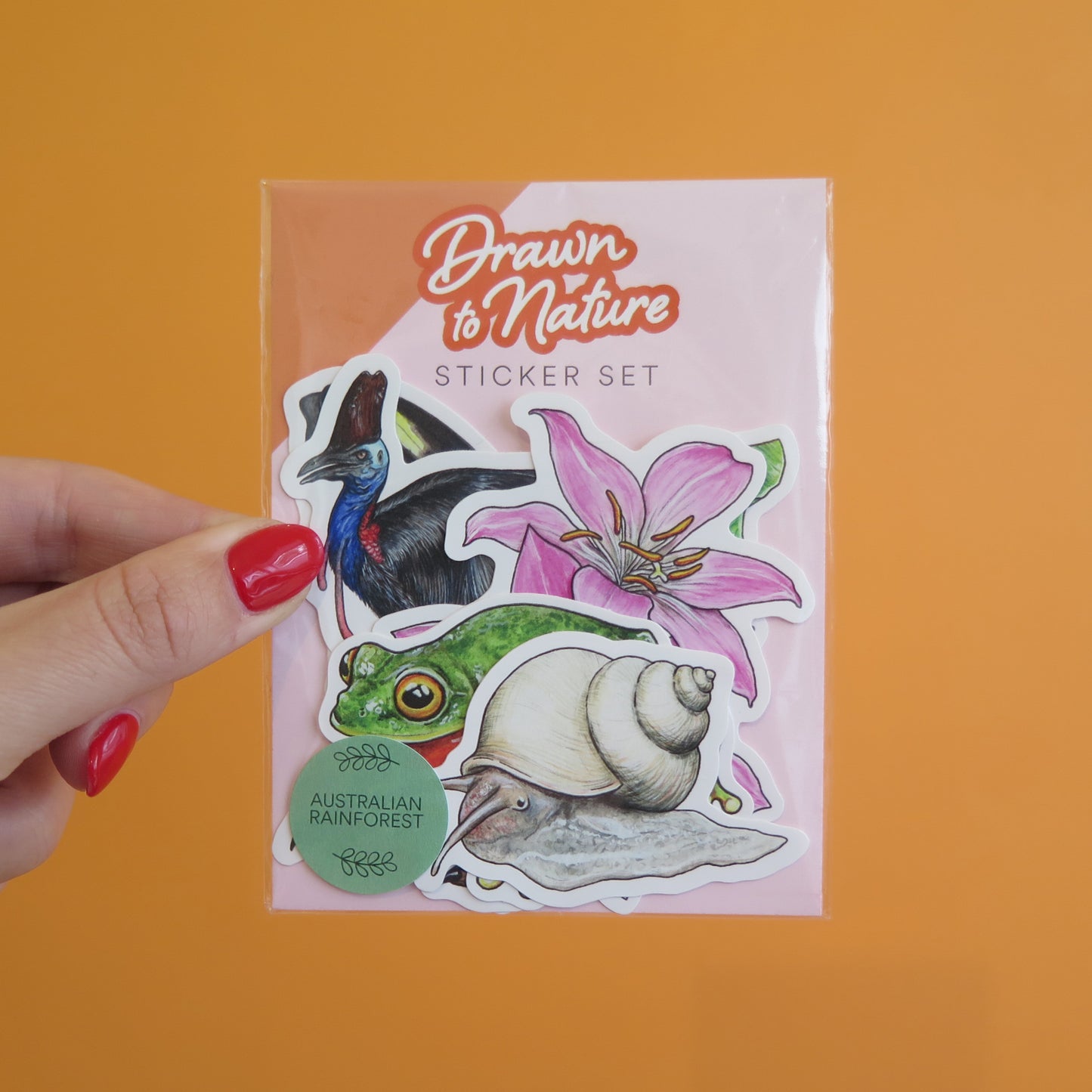 Australian Rainforest Sticker Pack - Set of 6