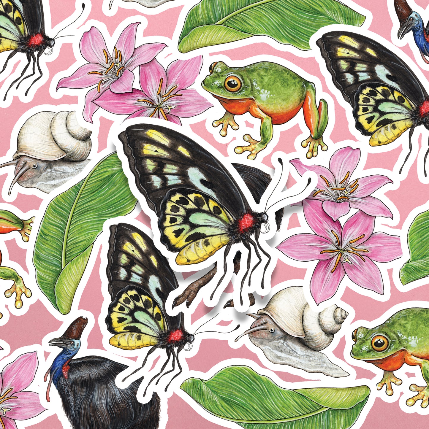 Australian Rainforest Sticker Pack - Set of 6