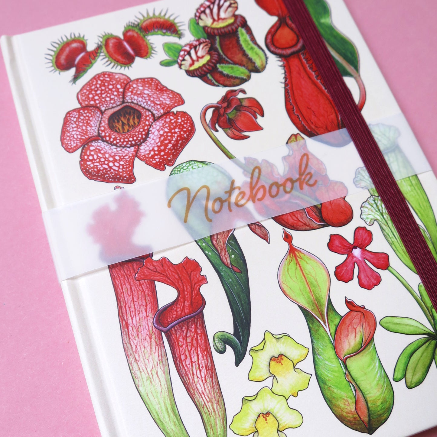 A5 Notebook - Carnivorous Plants