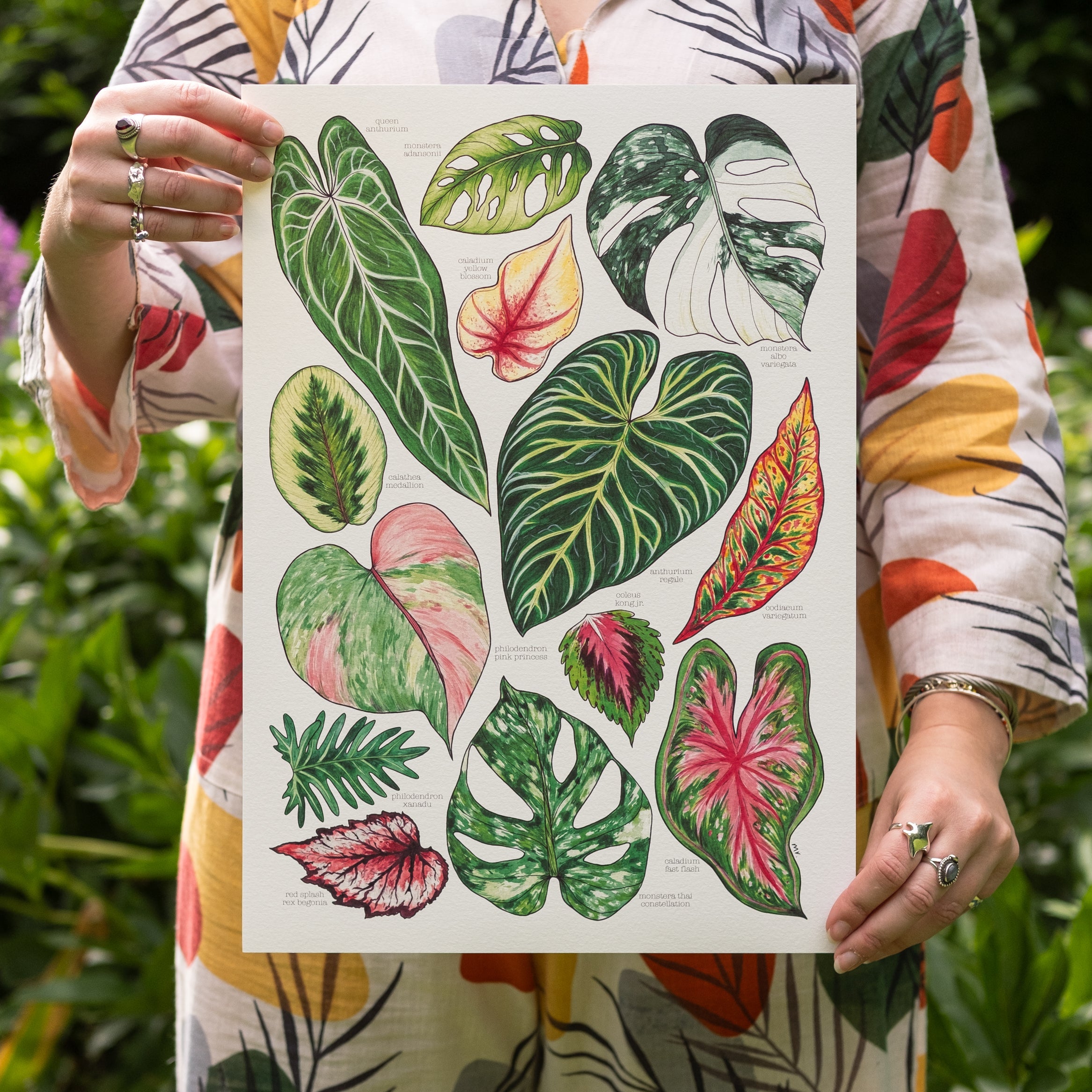 Tropical Leaves Print – Drawn to Nature