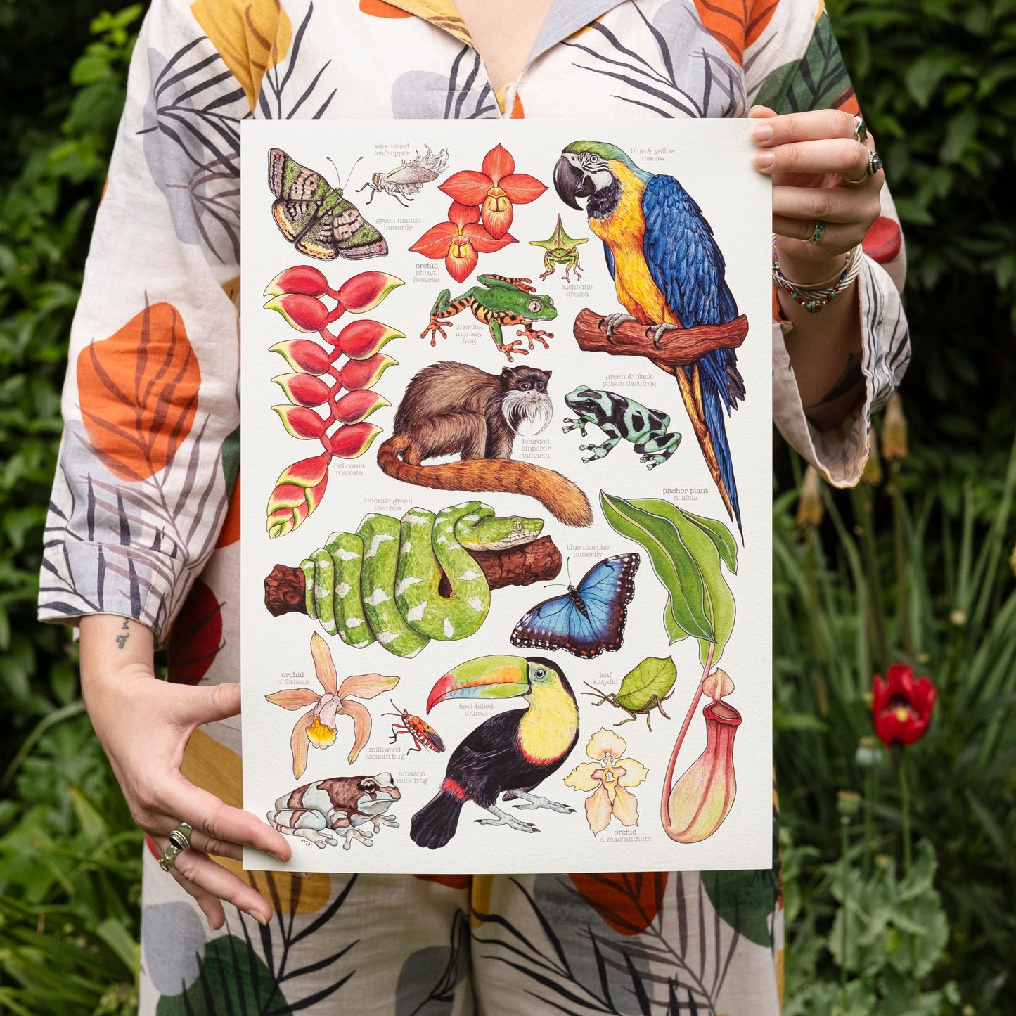 Amazon Rainforest Print