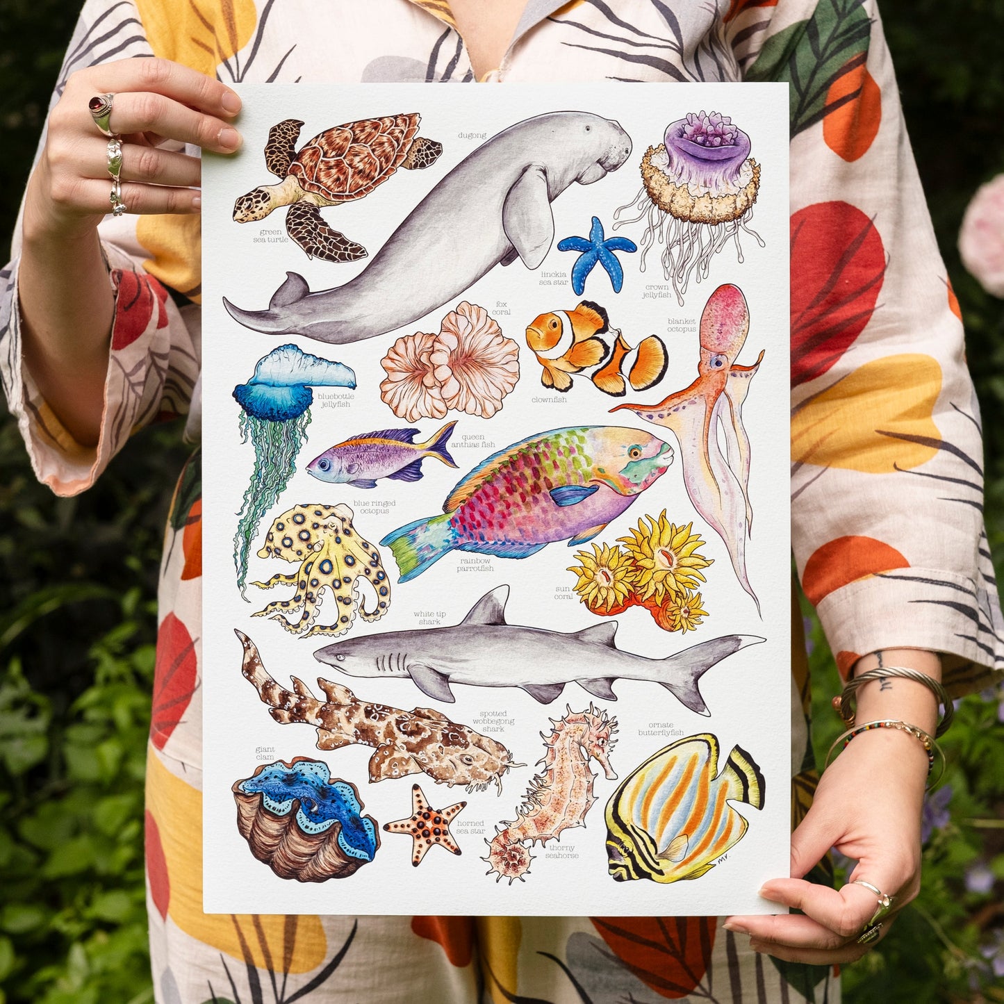 Great Barrier Reef Print