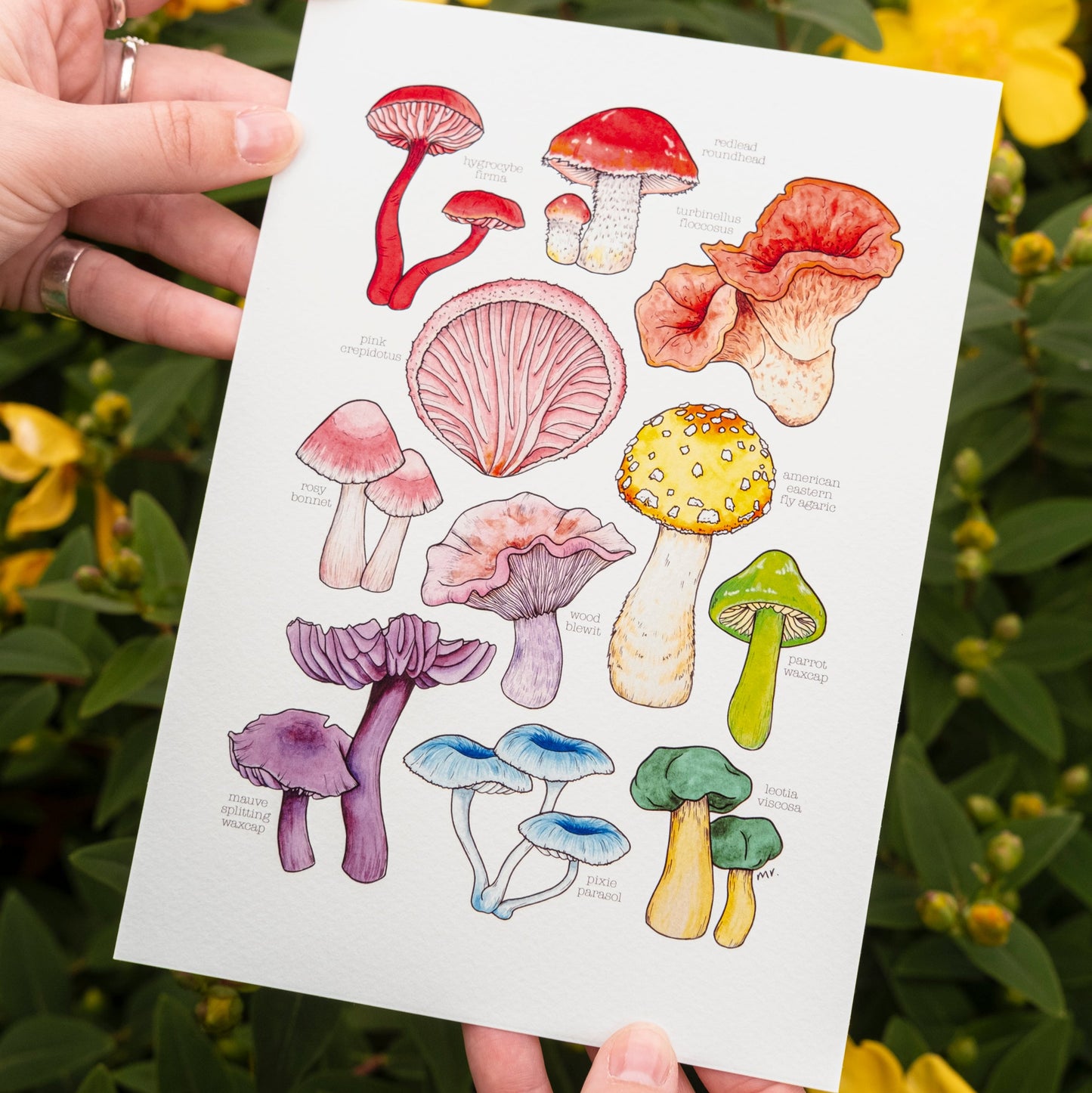 Rainbow Mushroom Print