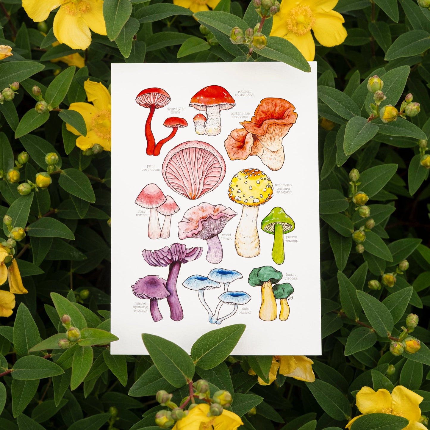 Rainbow Mushroom Print