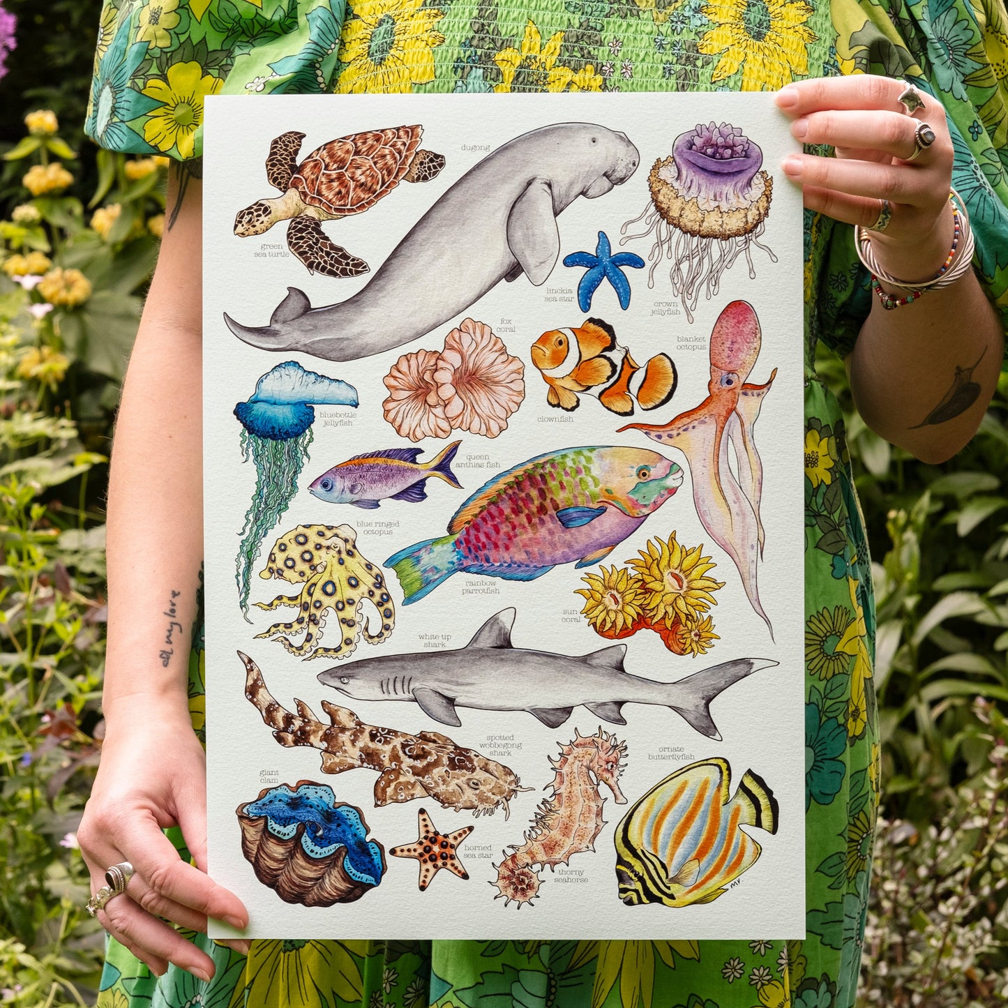 Great Barrier Reef Print