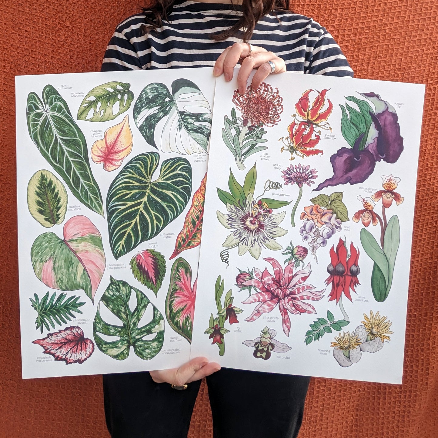 Unusual Flora Print