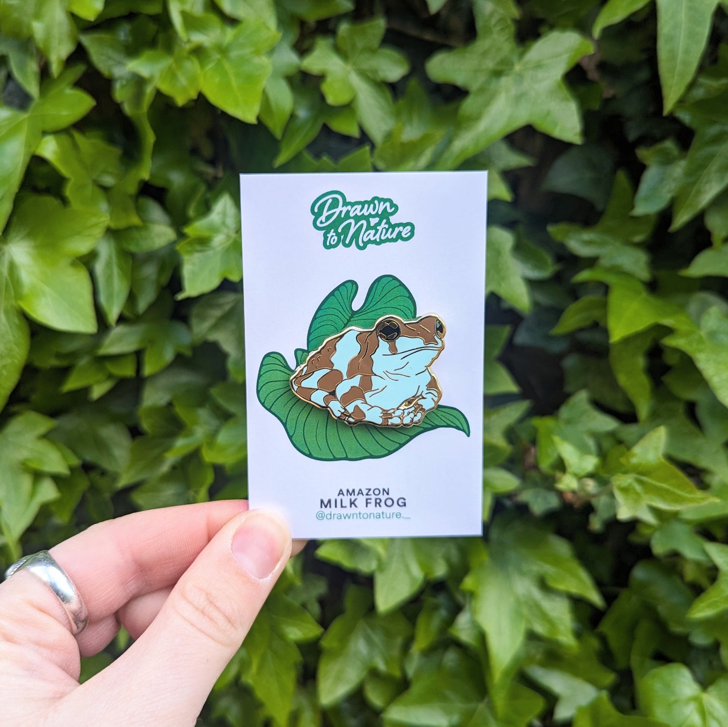 Frog Enamel Pin Pair
