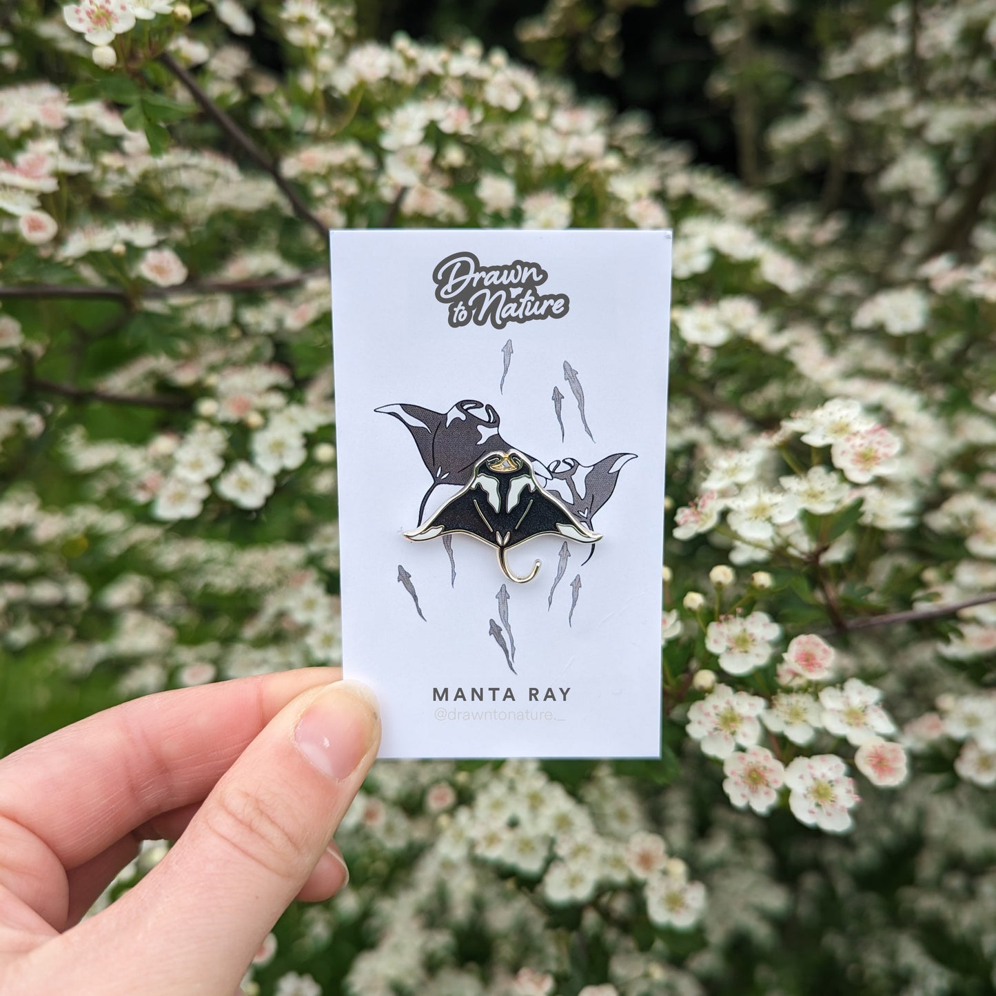 Shark & Ray Enamel Pin Pair