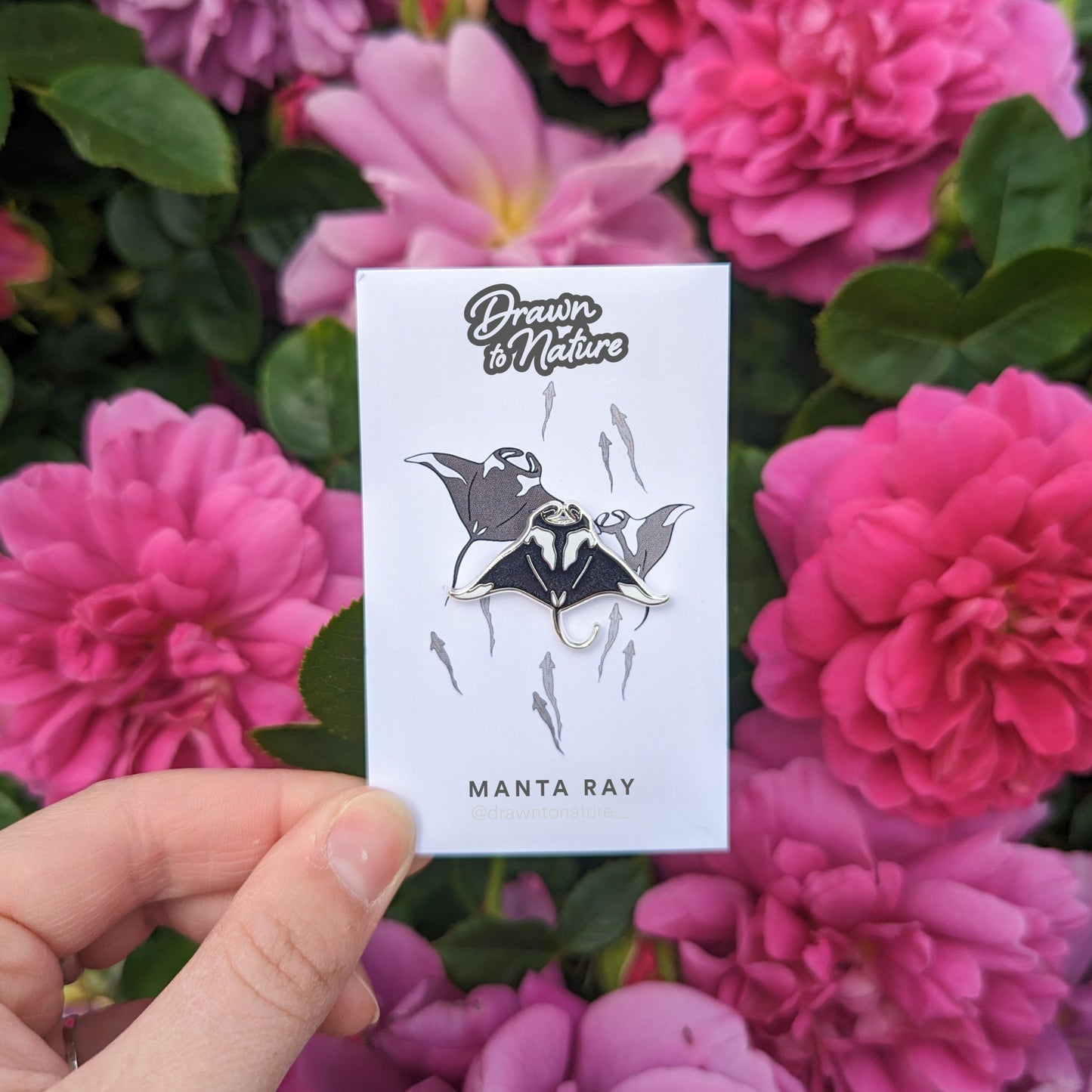 Manta Ray Pin