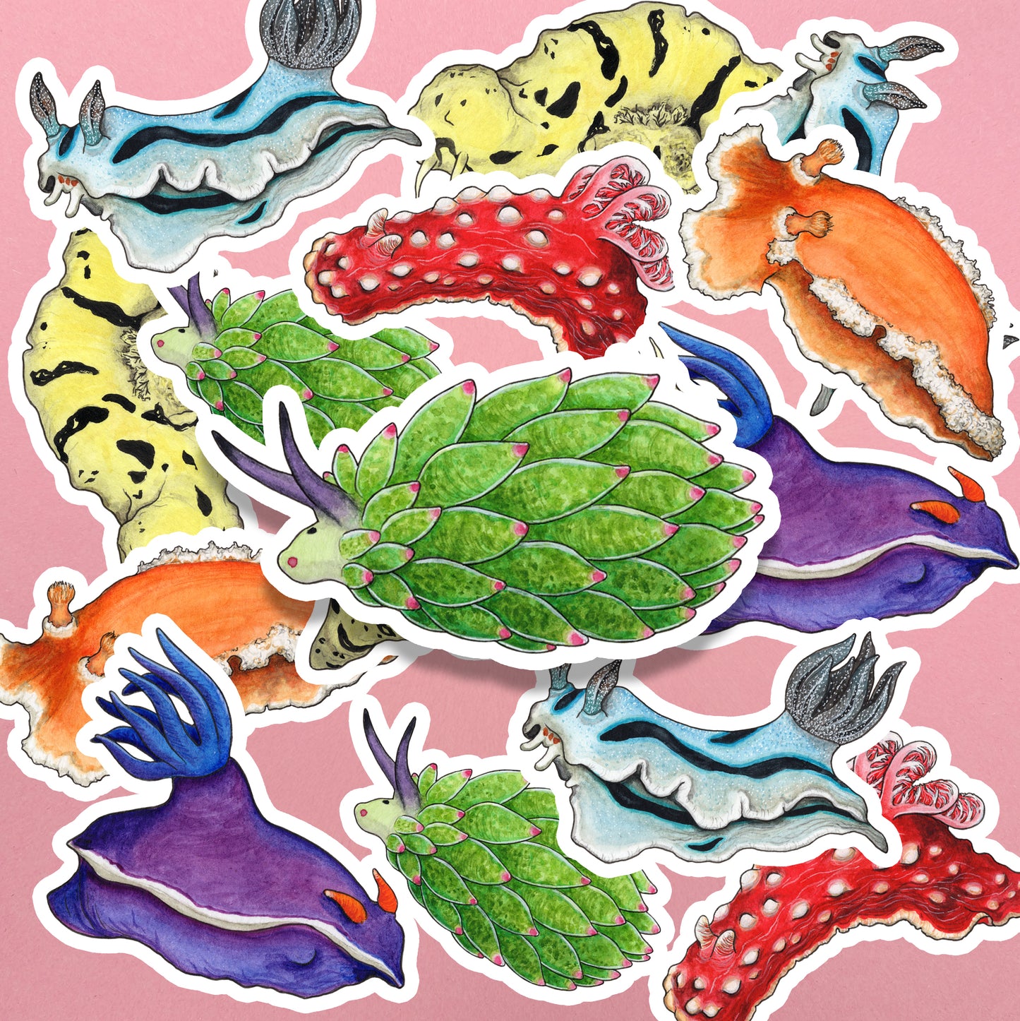 Rainbow Sea Slugs Sticker Pack - Set of 6