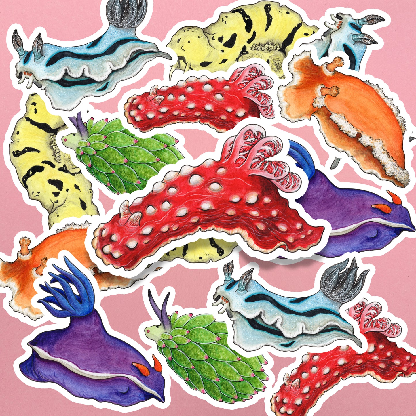 Rainbow Sea Slugs Sticker Pack - Set of 6