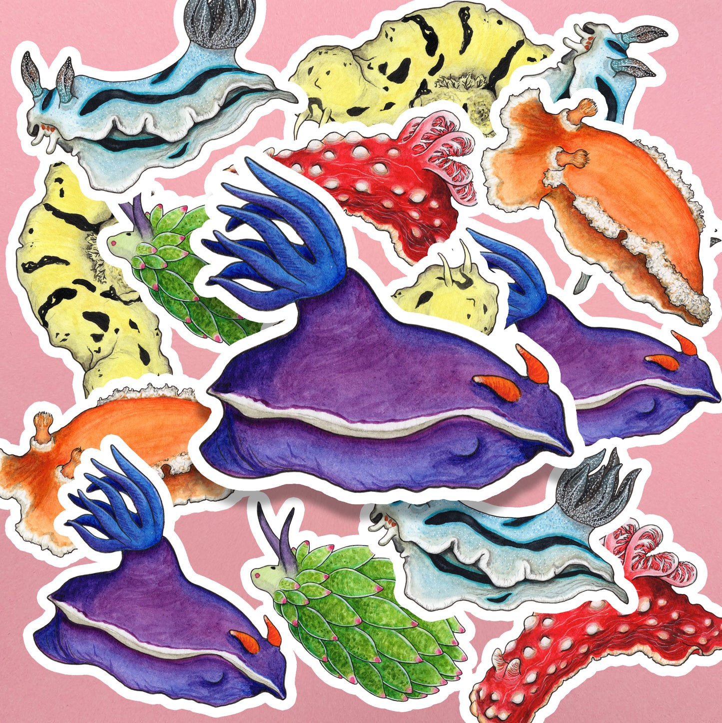 Rainbow Sea Slugs Sticker Pack - Set of 6