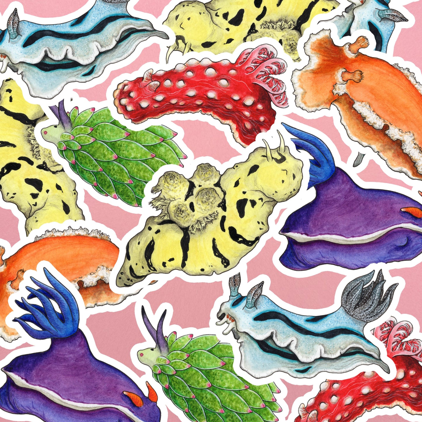 Rainbow Sea Slugs Sticker Pack - Set of 6