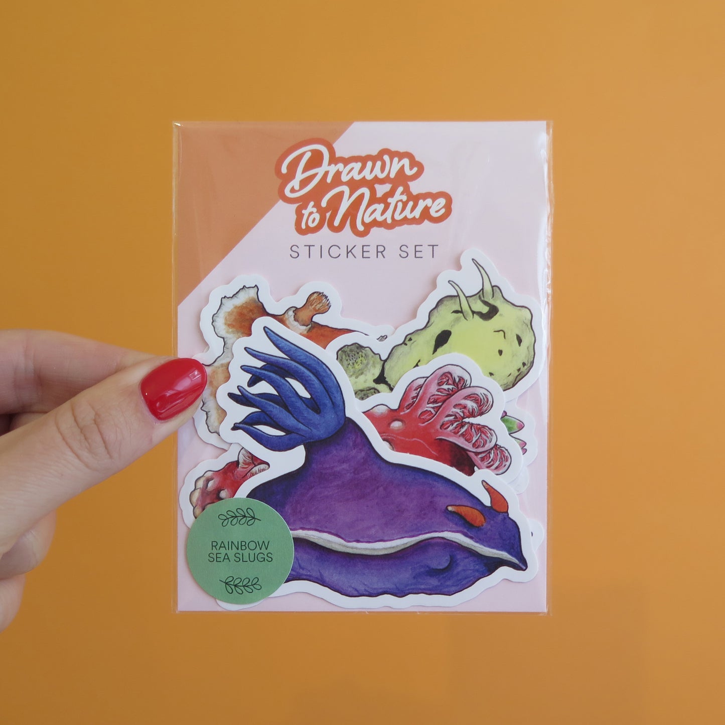 Rainbow Sea Slugs Sticker Pack - Set of 6
