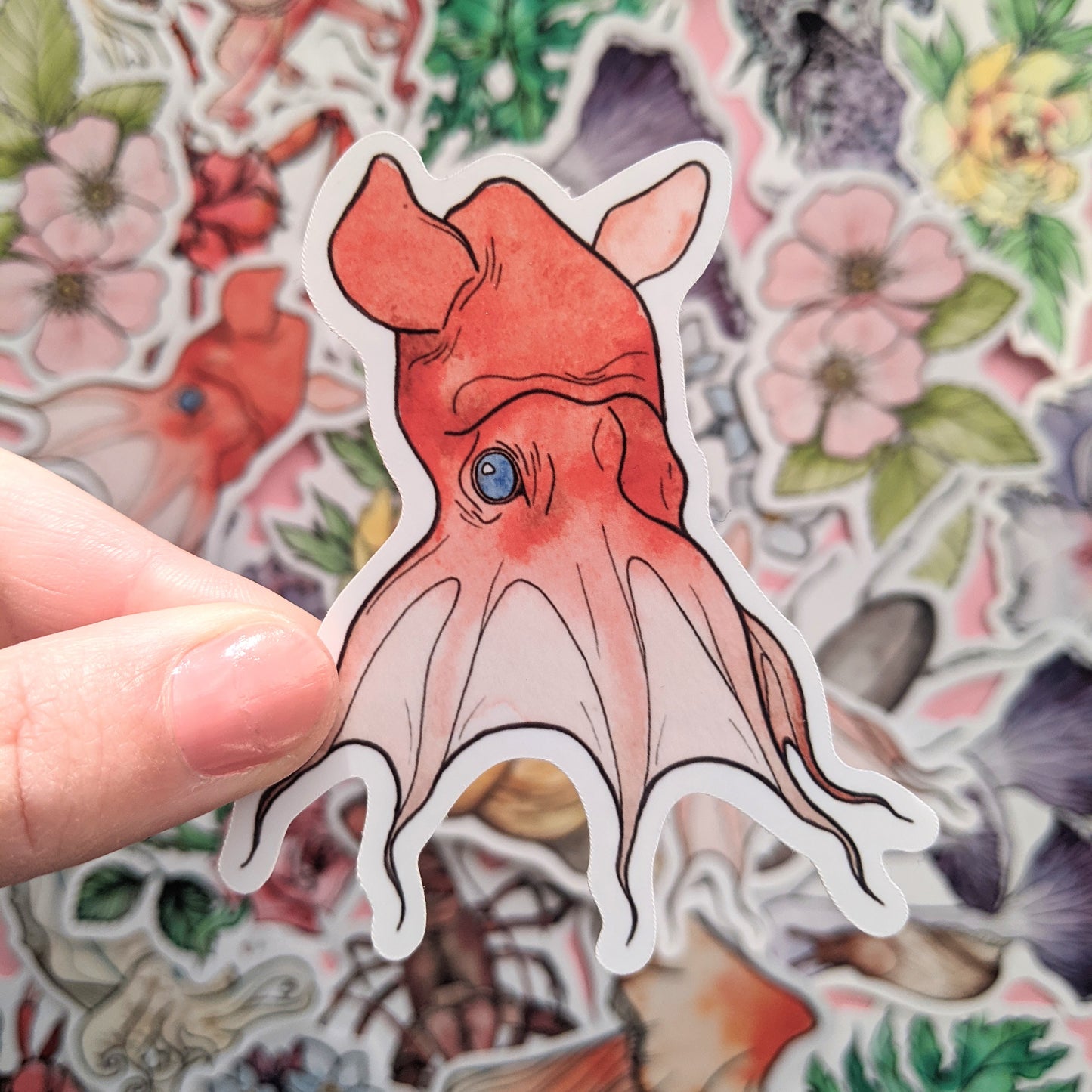 Cephalopods Sticker Pack - Set of 6