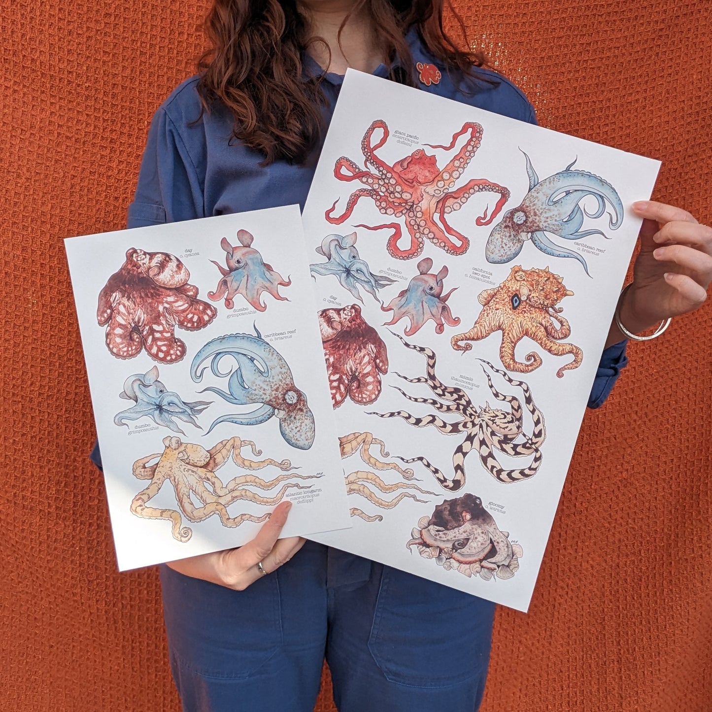 Octopus Species Print