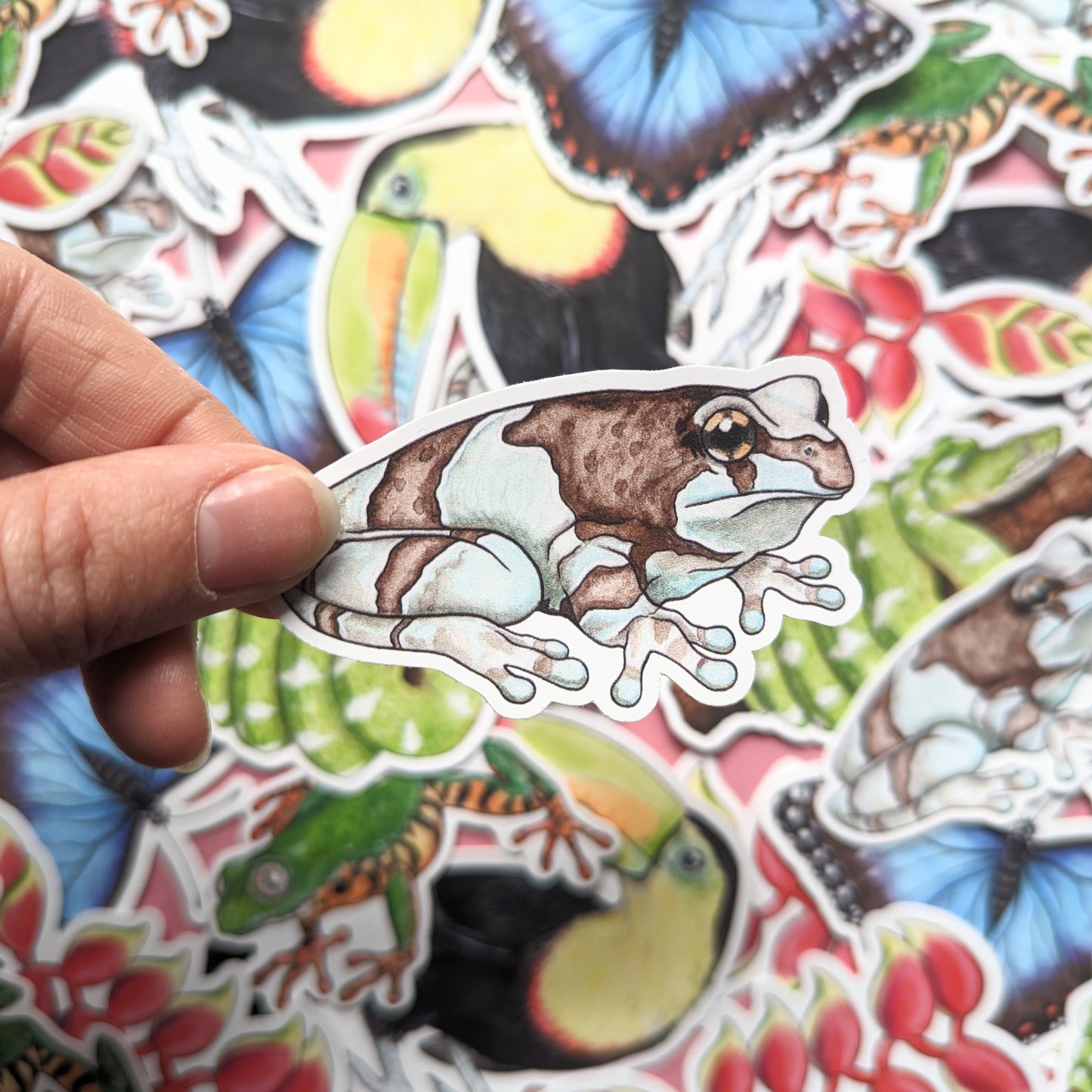 Amazon Rainforest Sticker Pack - Set of 6