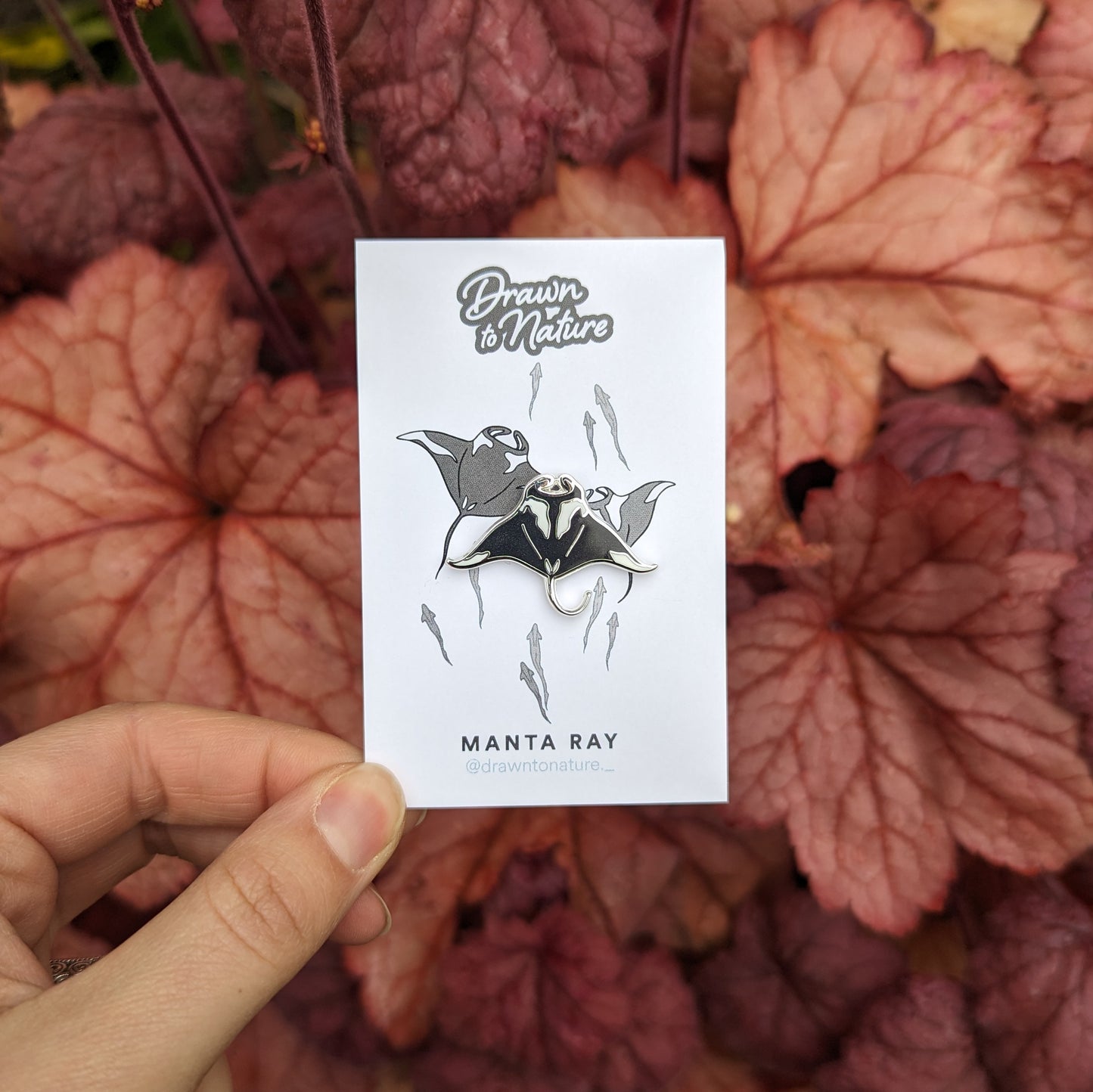 Manta Ray Pin