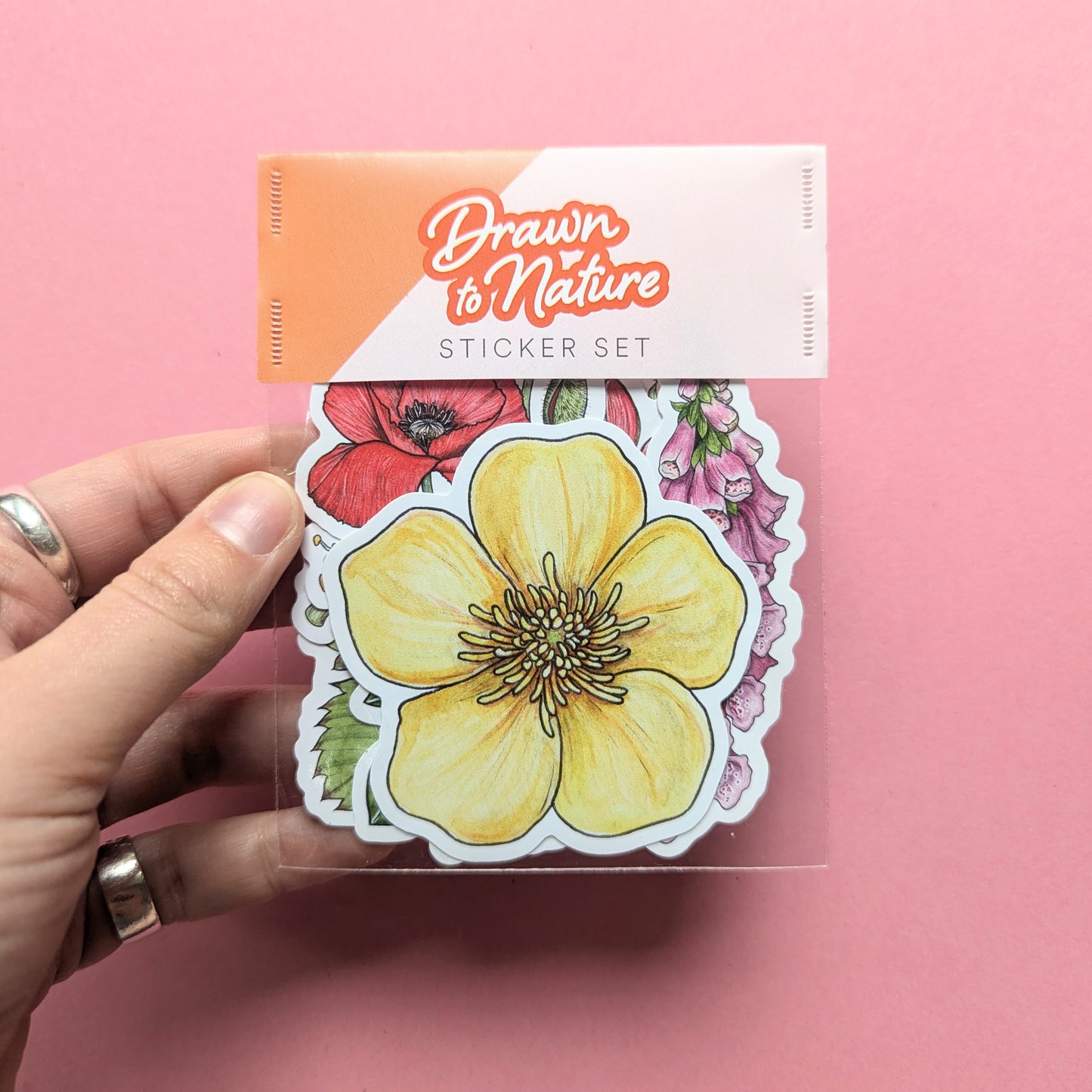 Wildflowers Sticker Pack - Set of 6
