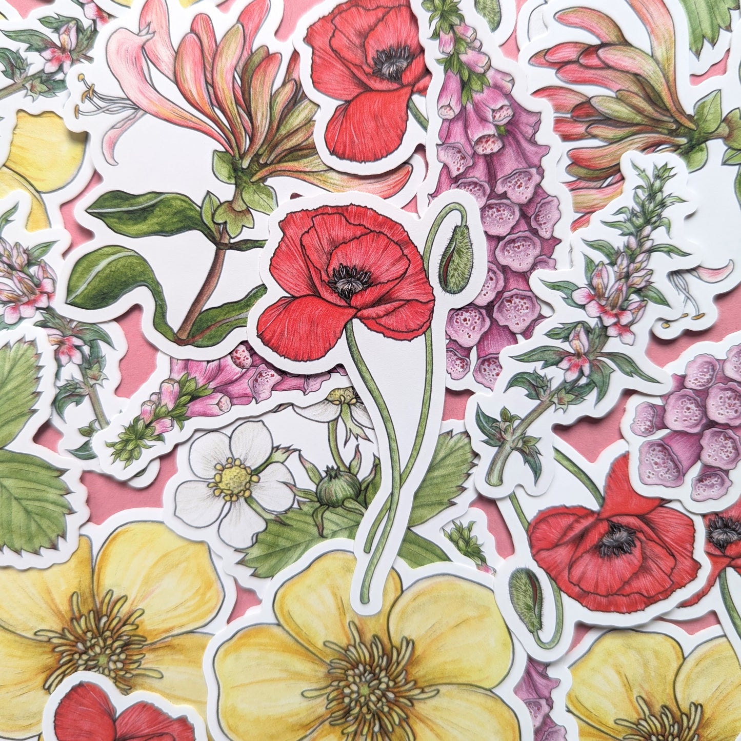 Wildflowers Sticker Pack - Set of 6