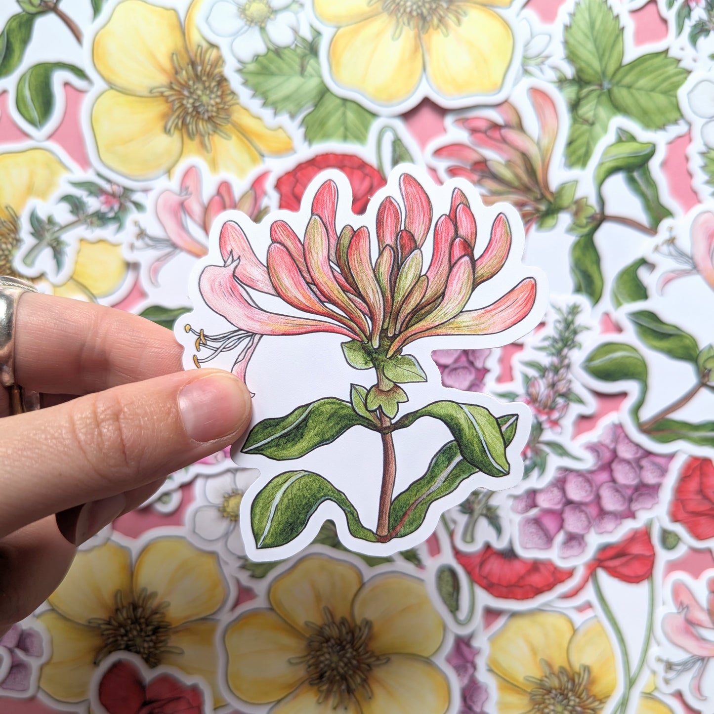 Wildflowers Sticker Pack - Set of 6