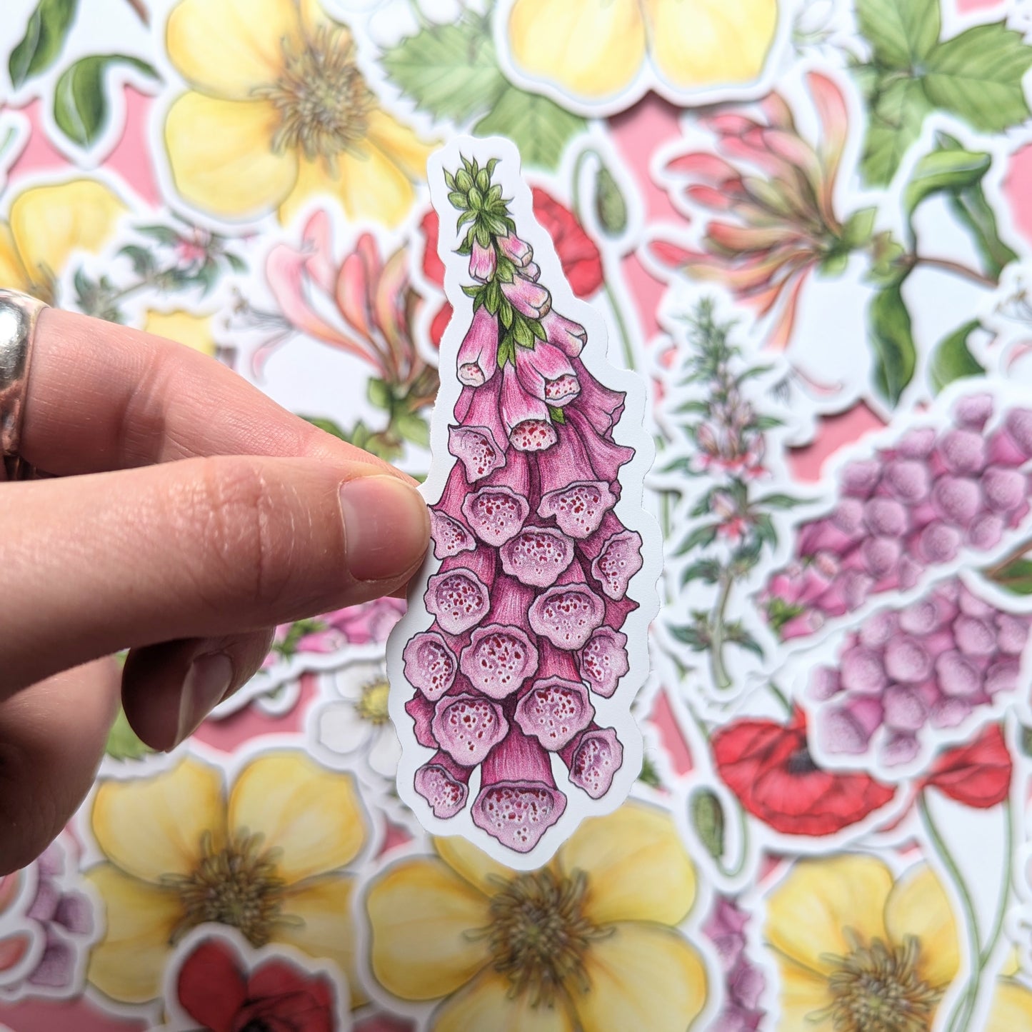 Wildflowers Sticker Pack - Set of 6