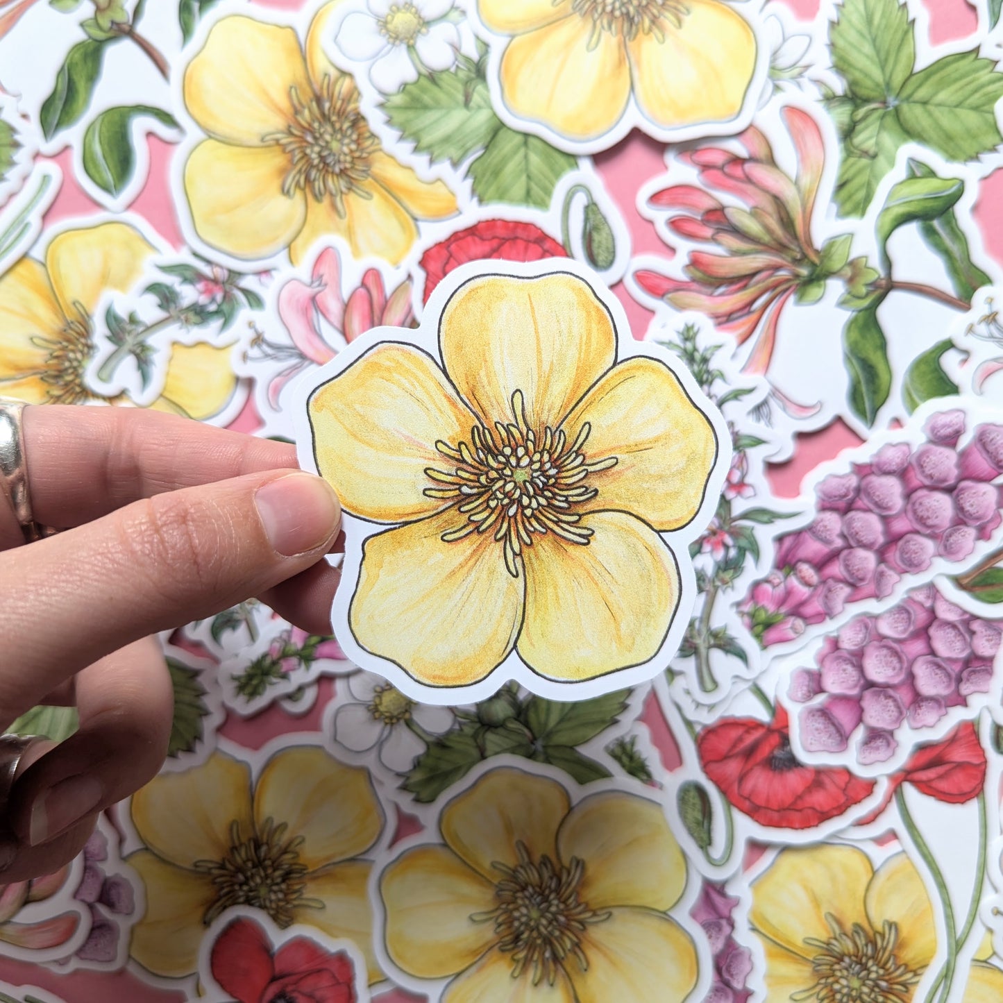 Wildflowers Sticker Pack - Set of 6