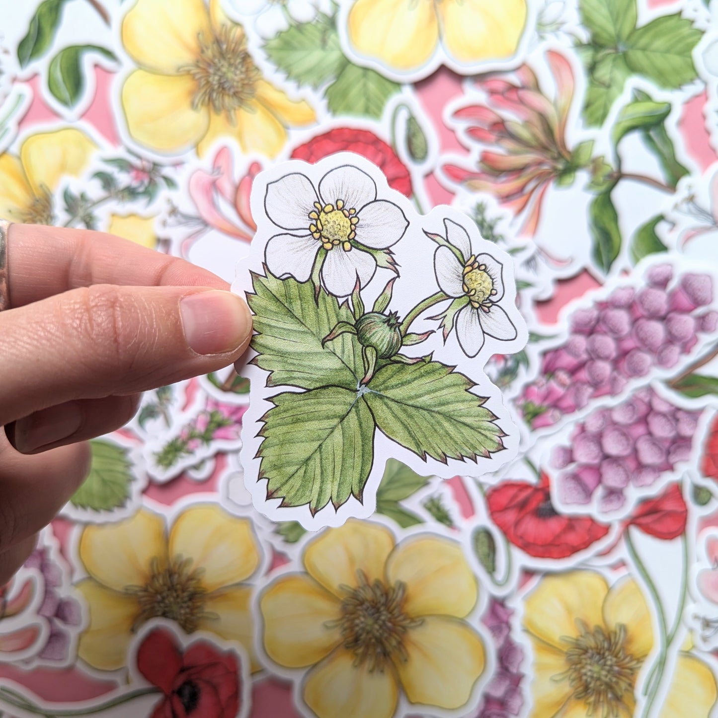 Wildflowers Sticker Pack - Set of 6