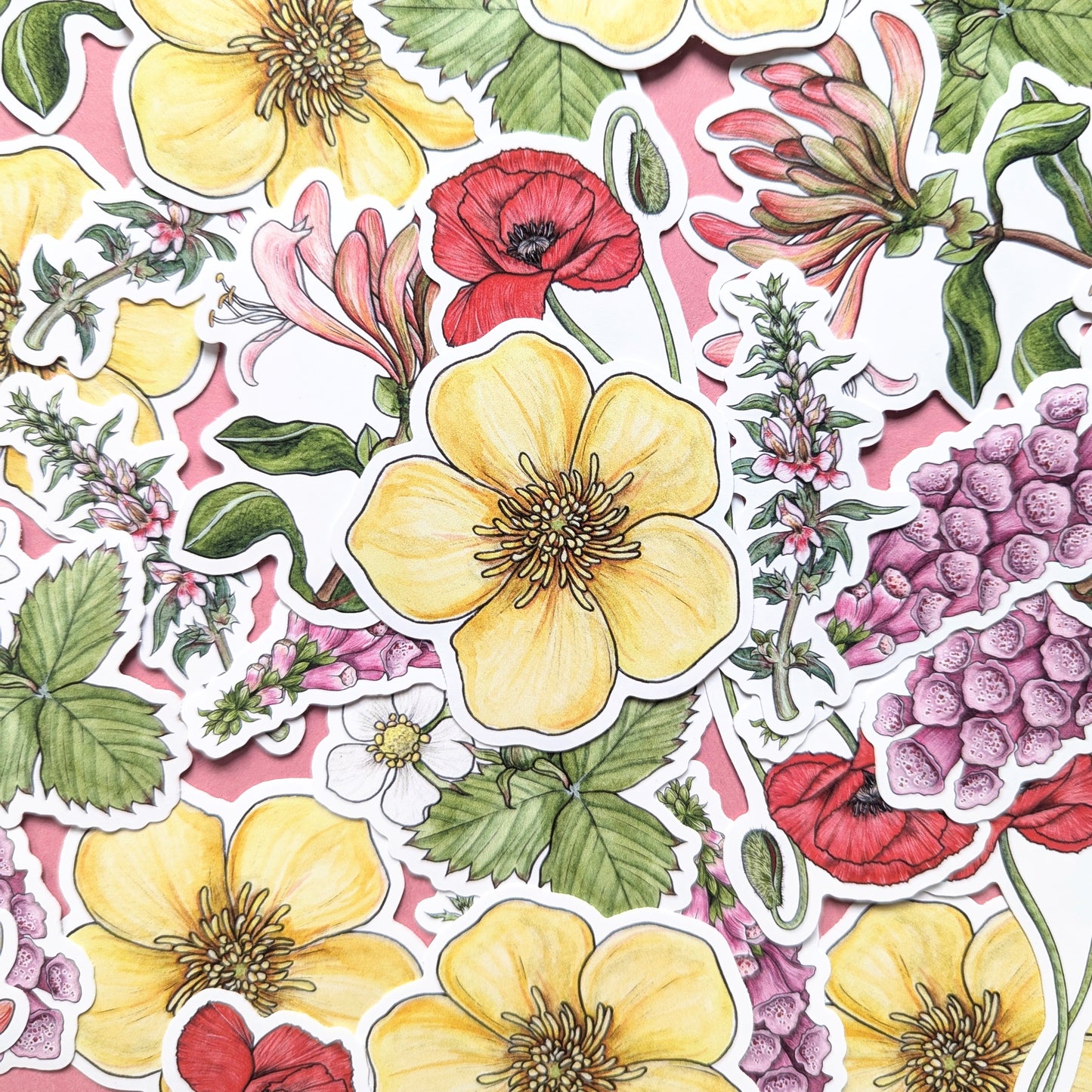 Wildflowers Sticker Pack - Set of 6