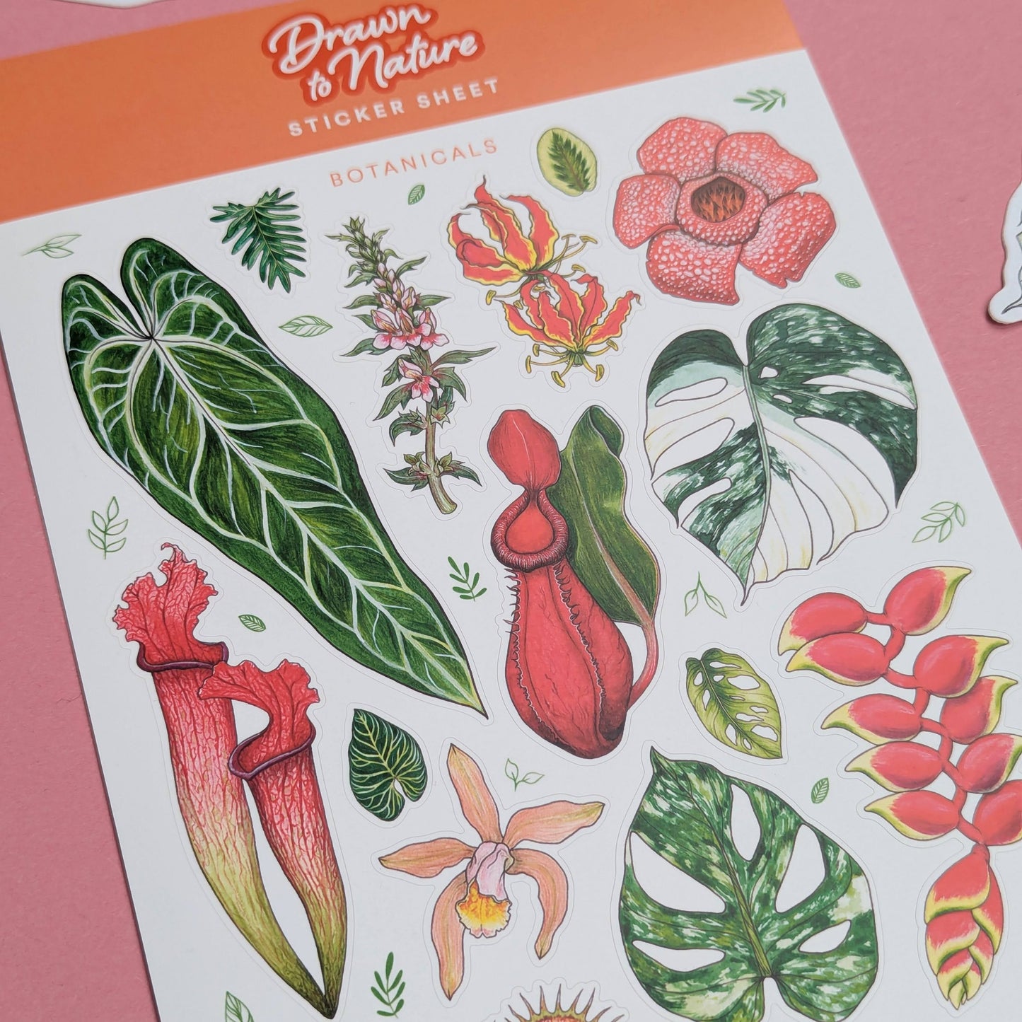 Botanicals Sticker Sheet