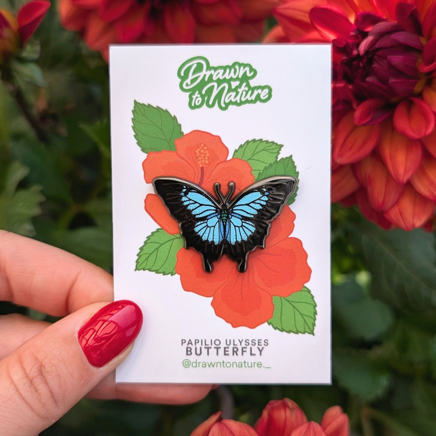 Ulysses Butterfly Pin