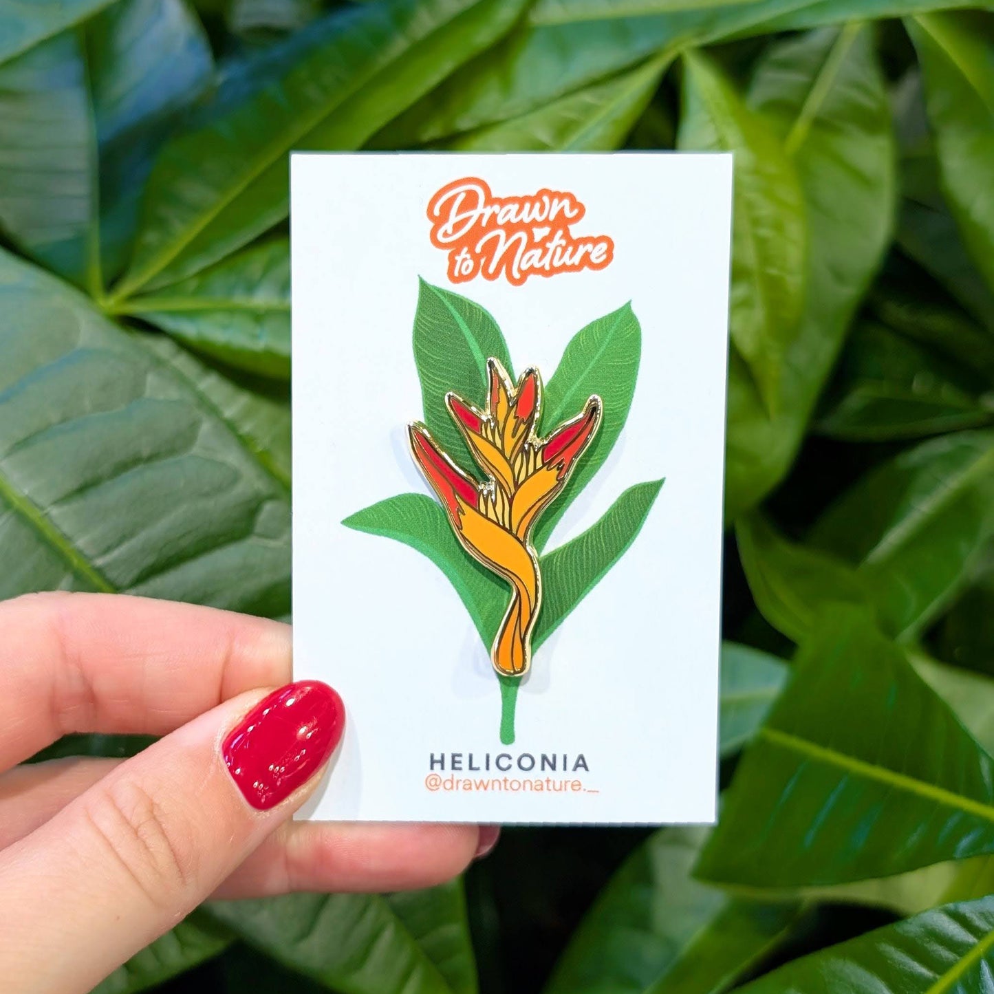 Heliconia Pin
