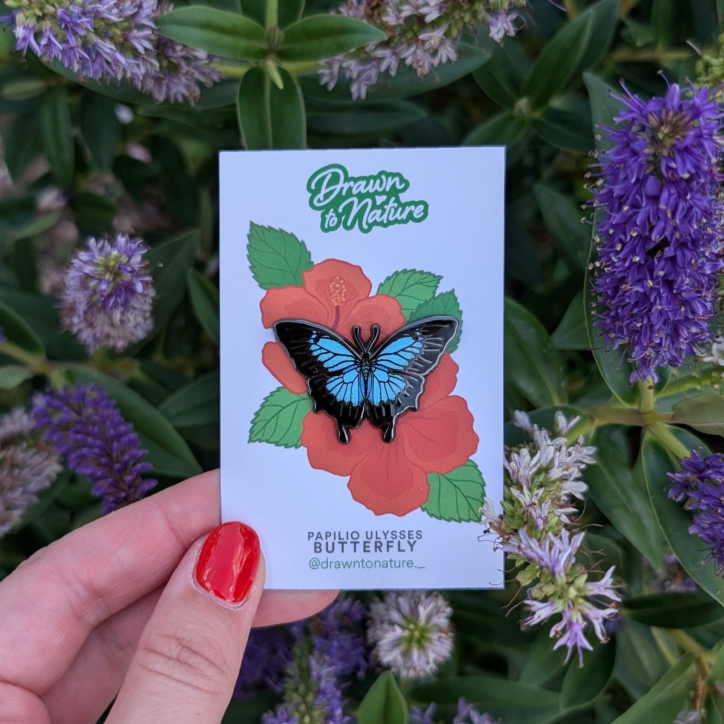 Ulysses Butterfly Pin