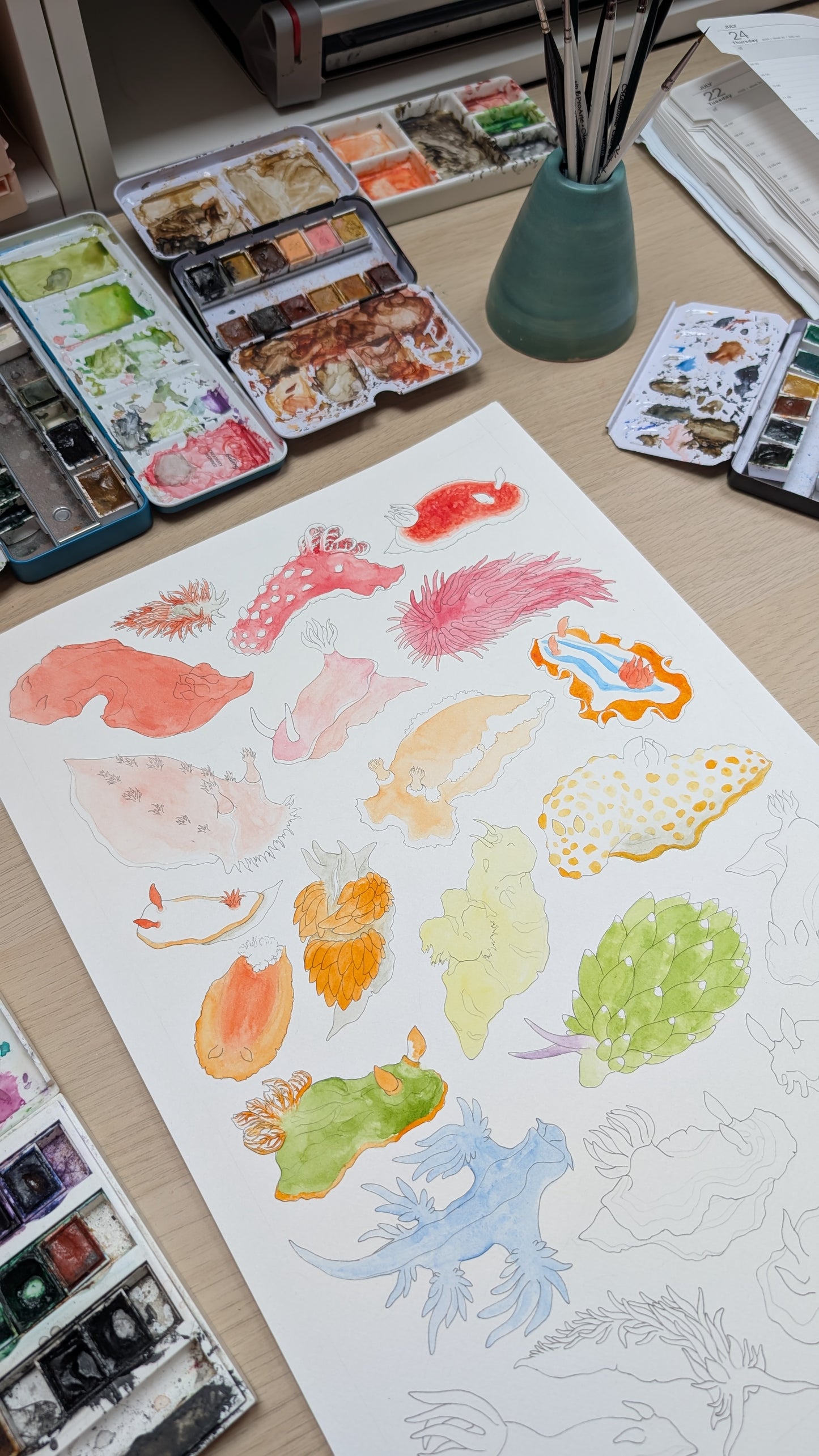 Rainbow Sea Slugs Print