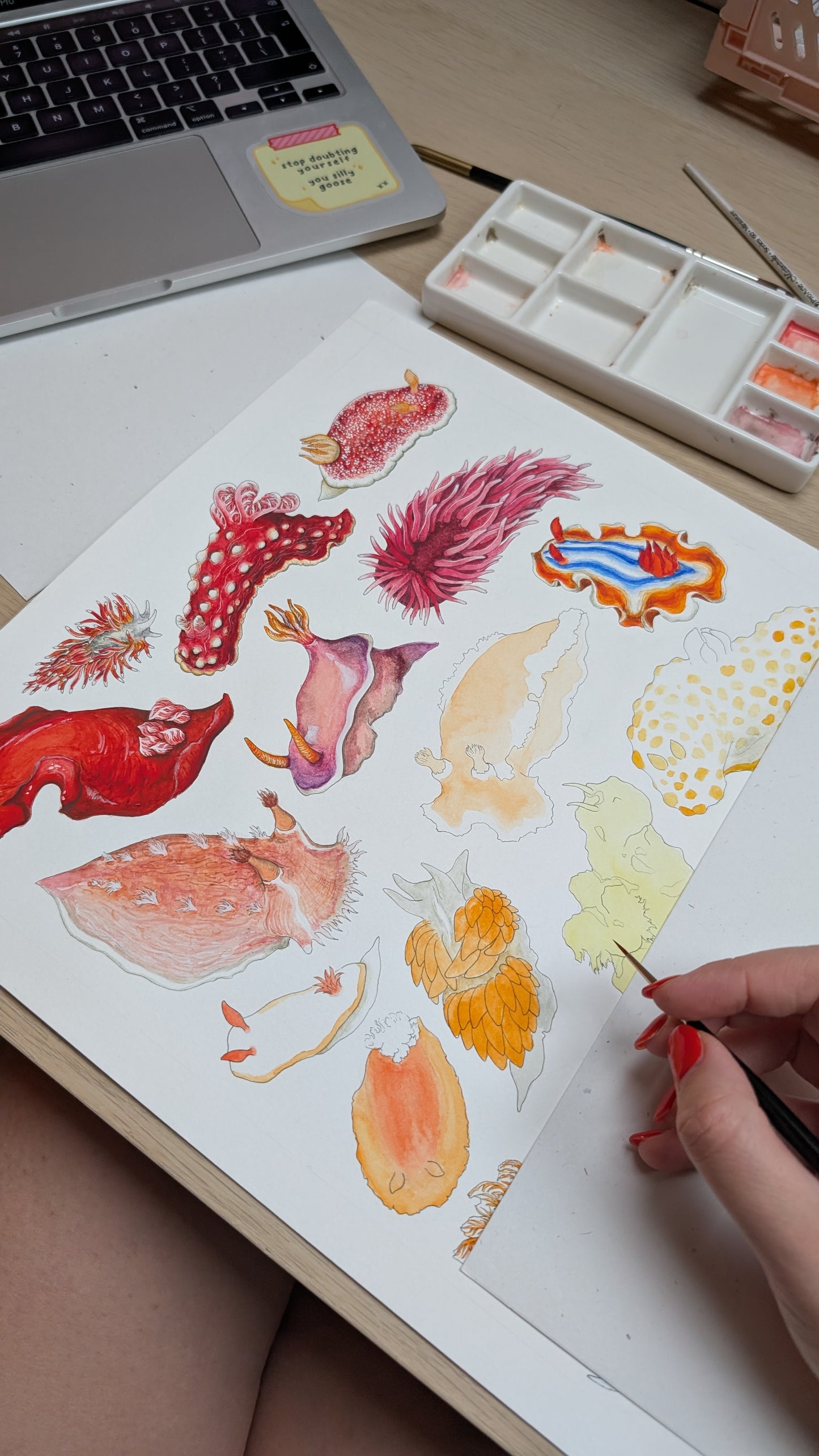 Rainbow Sea Slugs Print