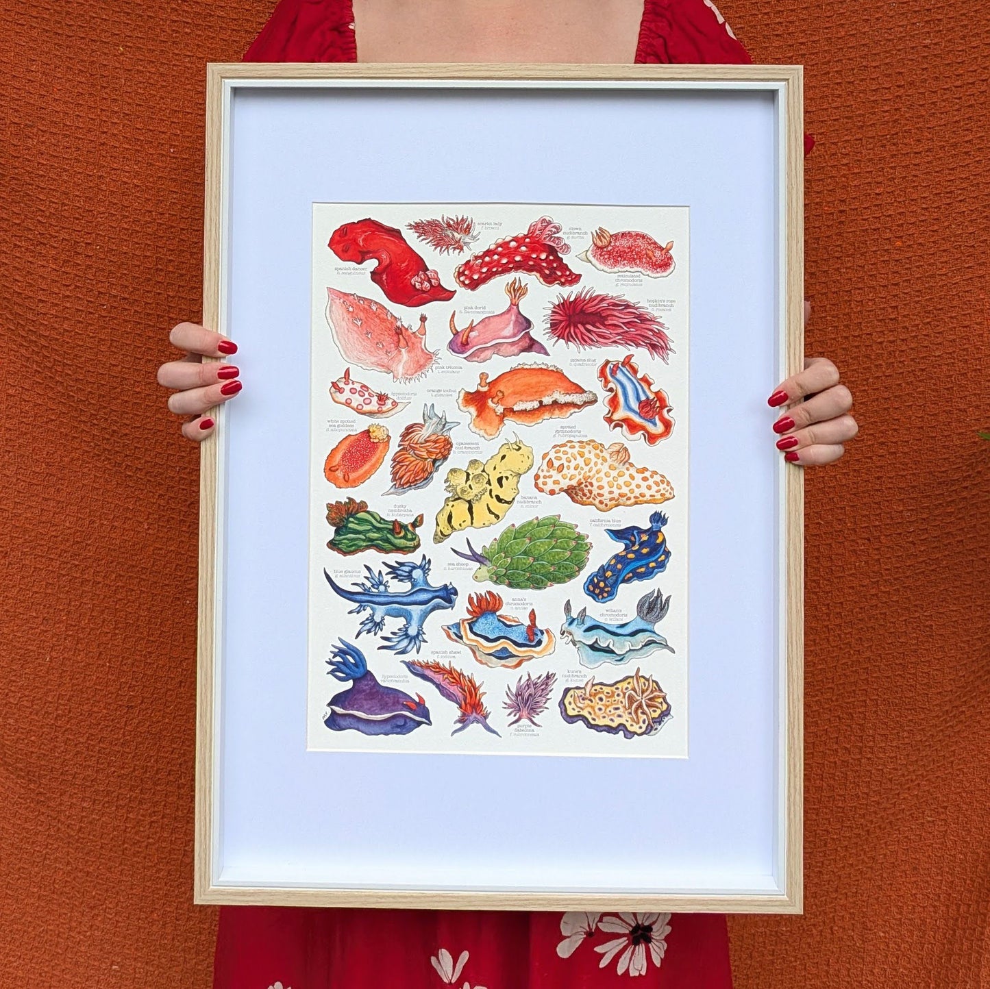Rainbow Sea Slugs Print