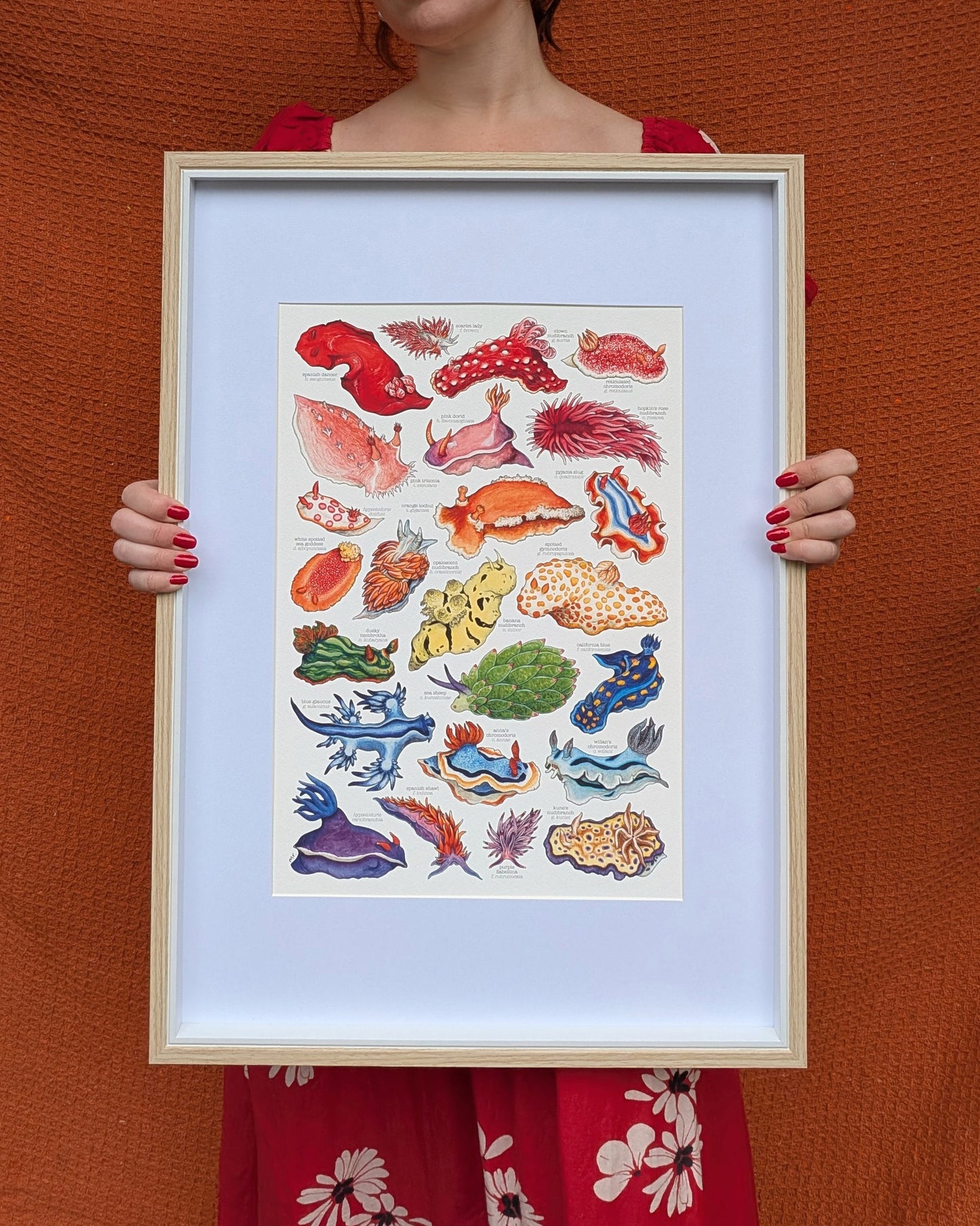 Rainbow Sea Slugs Print
