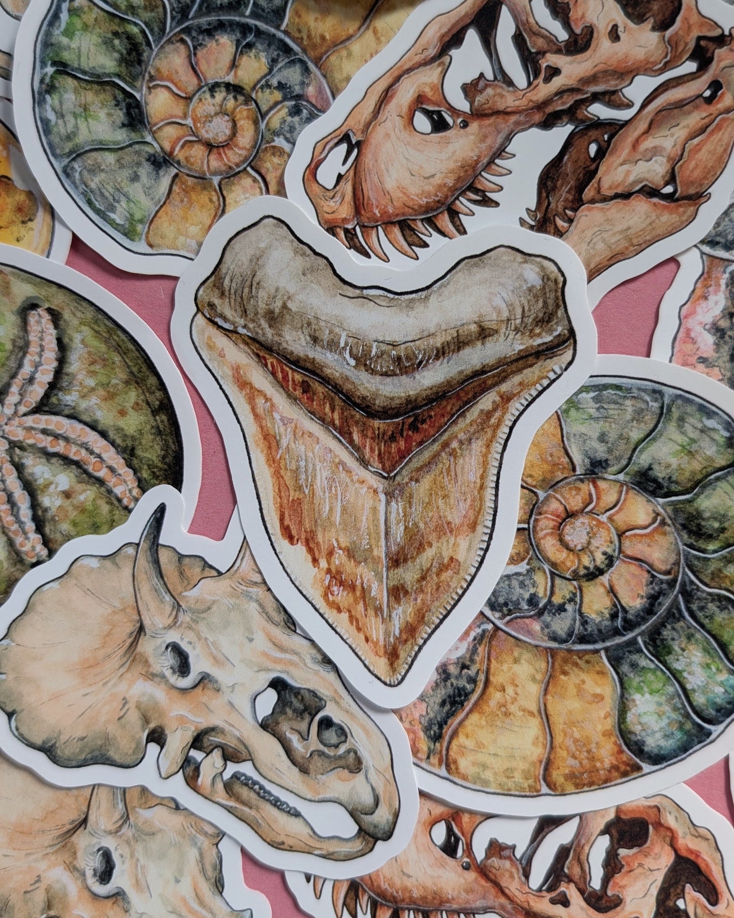 Ancient Fossils Sticker Pack - Set of 6