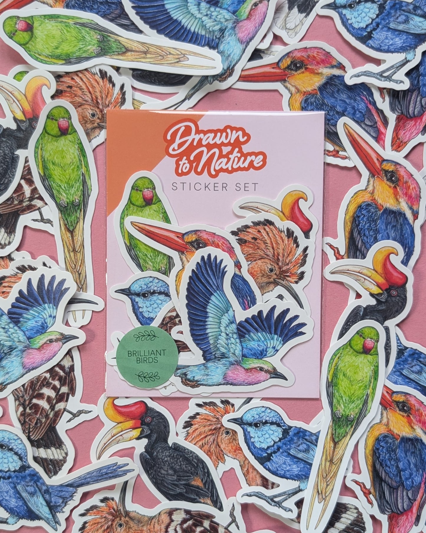 Brilliant Birds Sticker Pack - Set of 6
