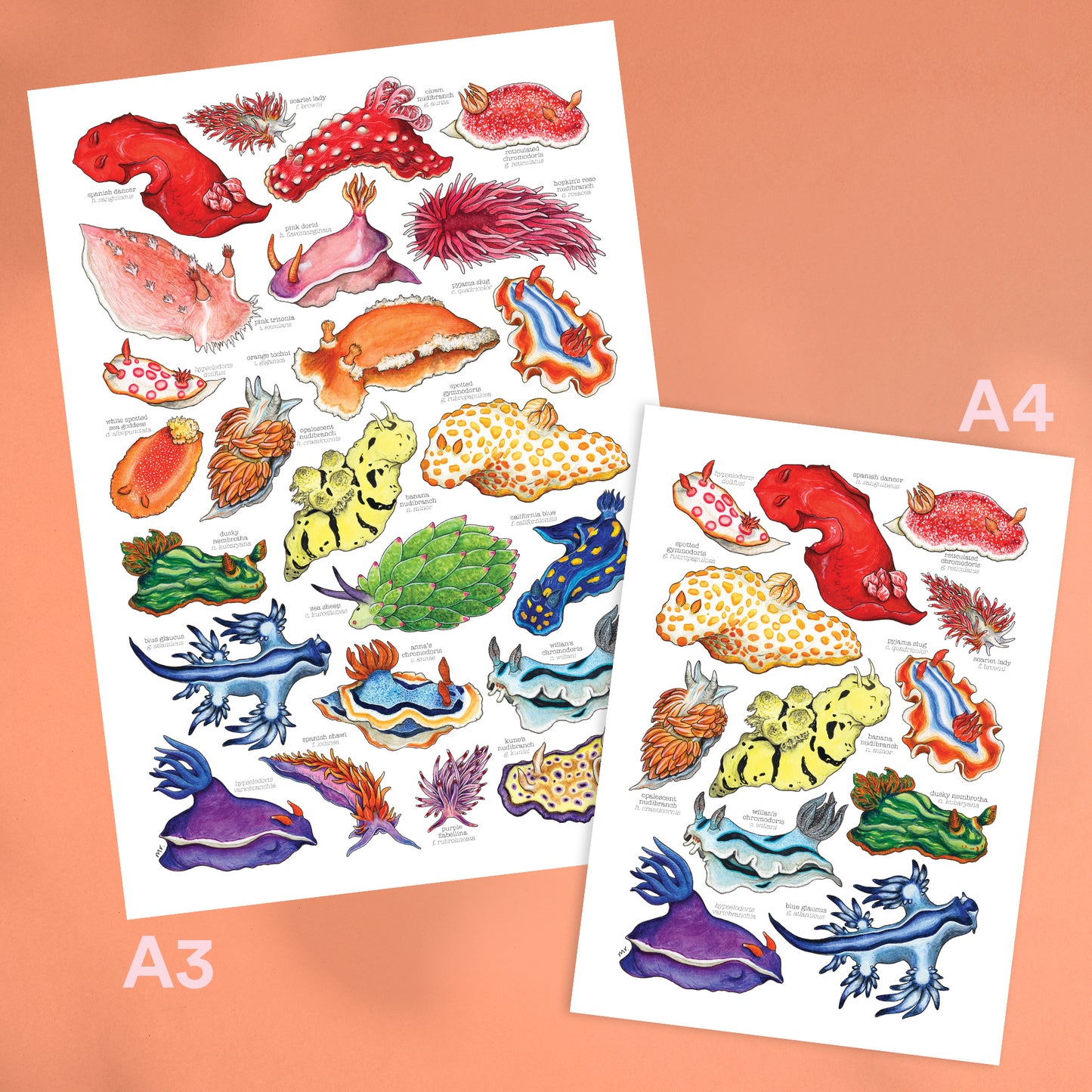Rainbow Sea Slugs Print