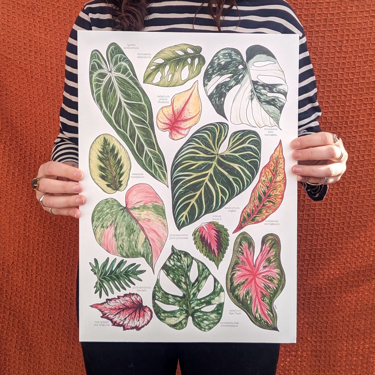 Tropical Leaves Print