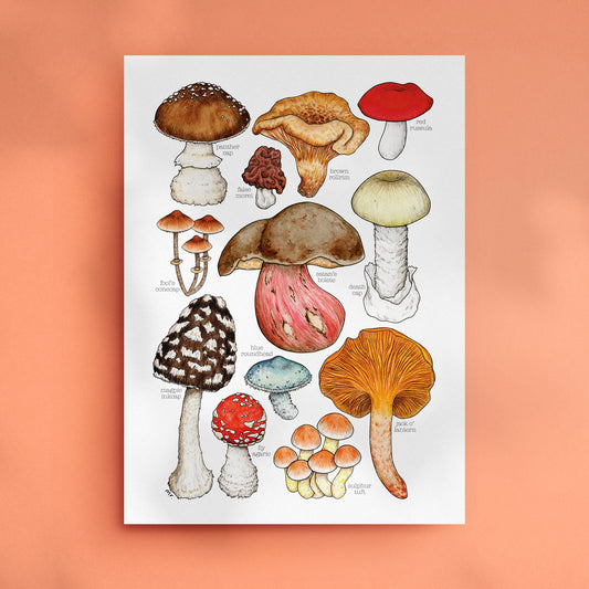 Toxic Mushrooms Print