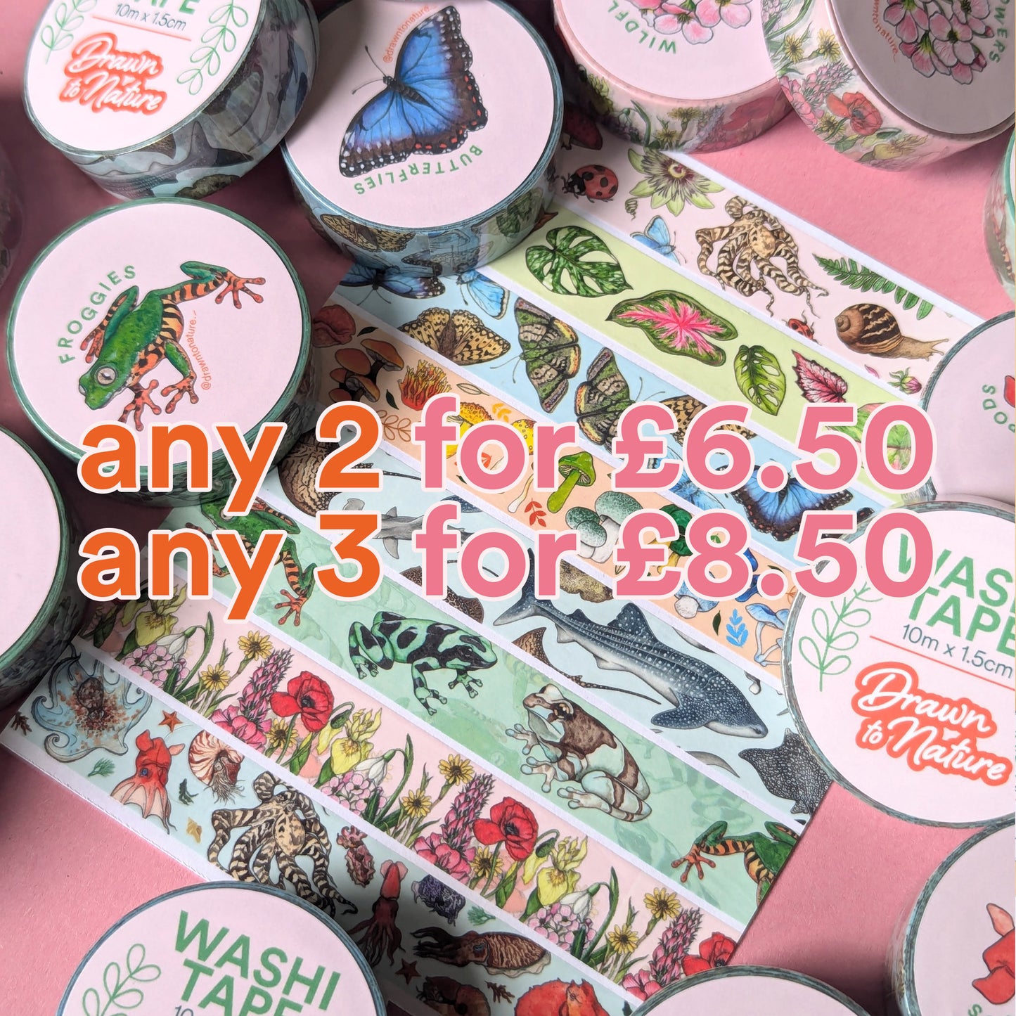 Snail Washi Tape