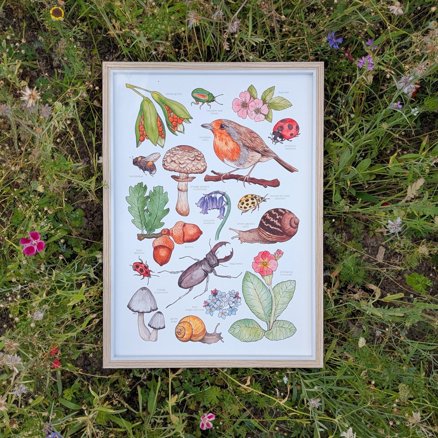 British Wildlife Print
