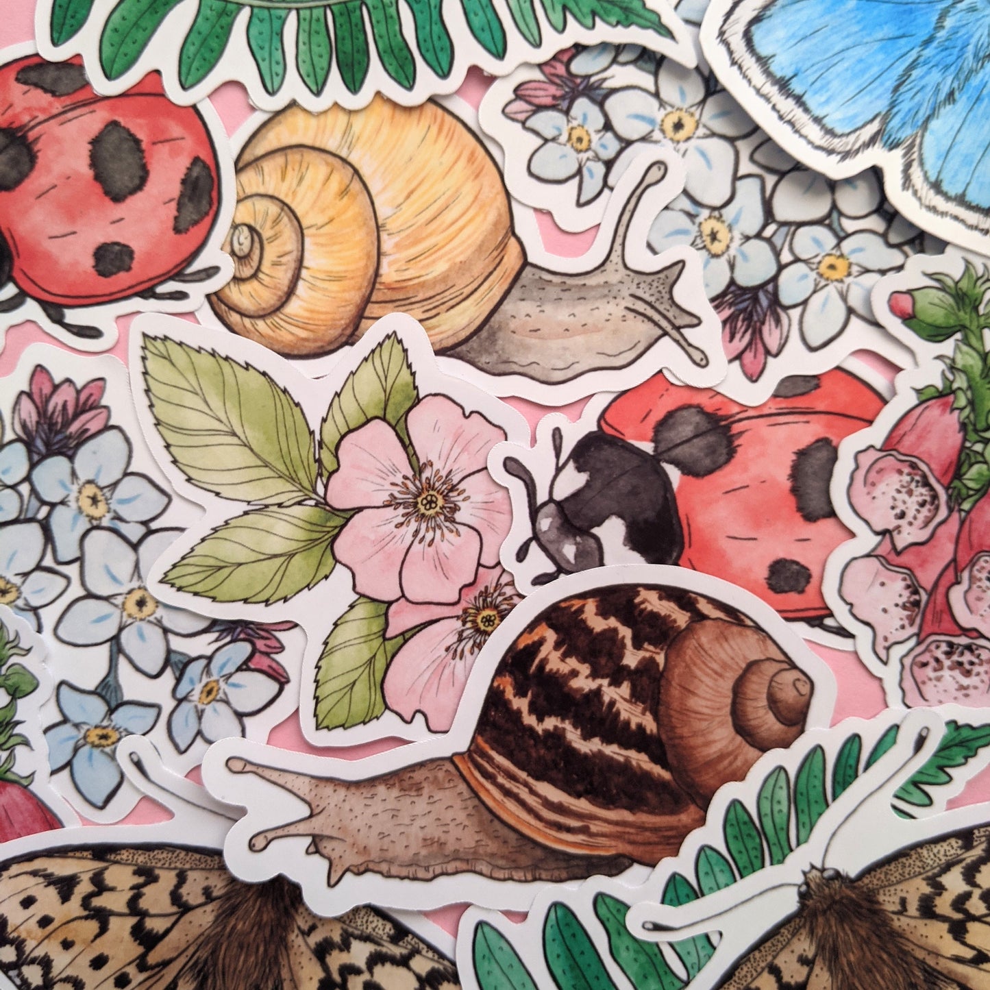 Garden Snail Sticker Pack - Set of 2