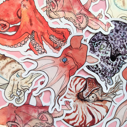 Cephalopods Sticker Pack - Set of 6