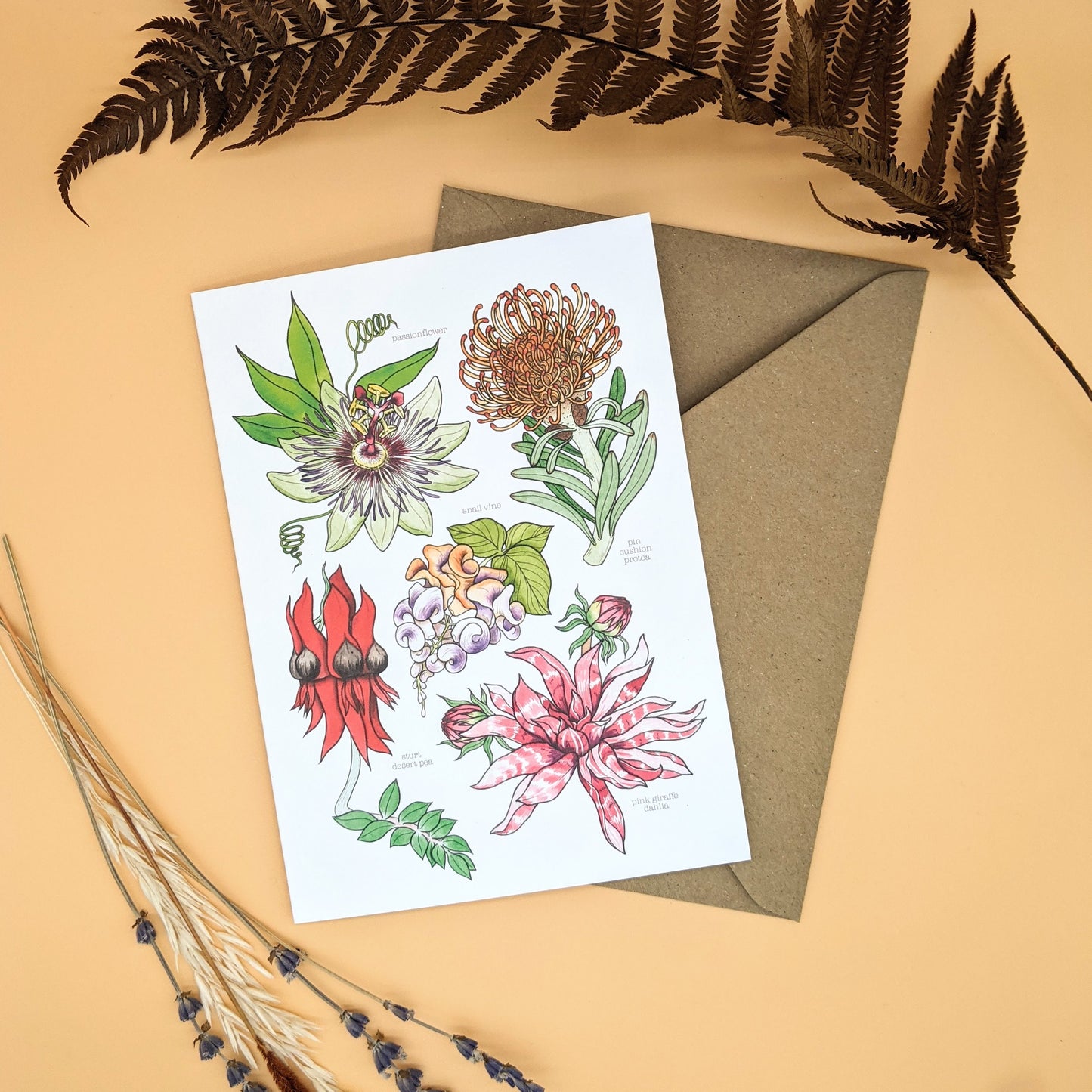 Nature Card Set - Any 5 Designs