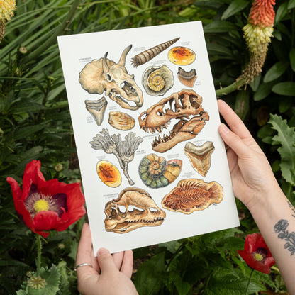 Ancient Fossils Print