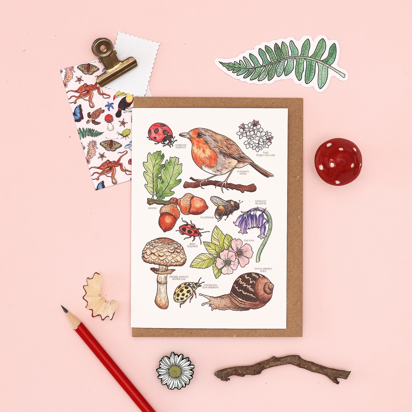 British Wildlife Card