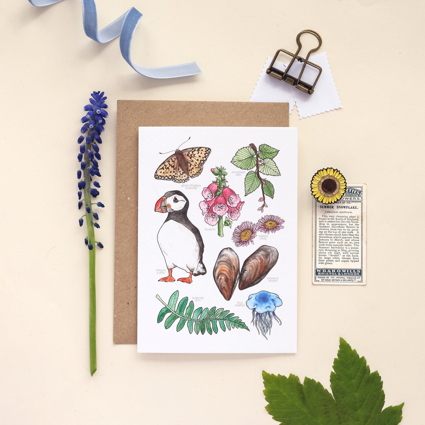 Coastal Nature Card